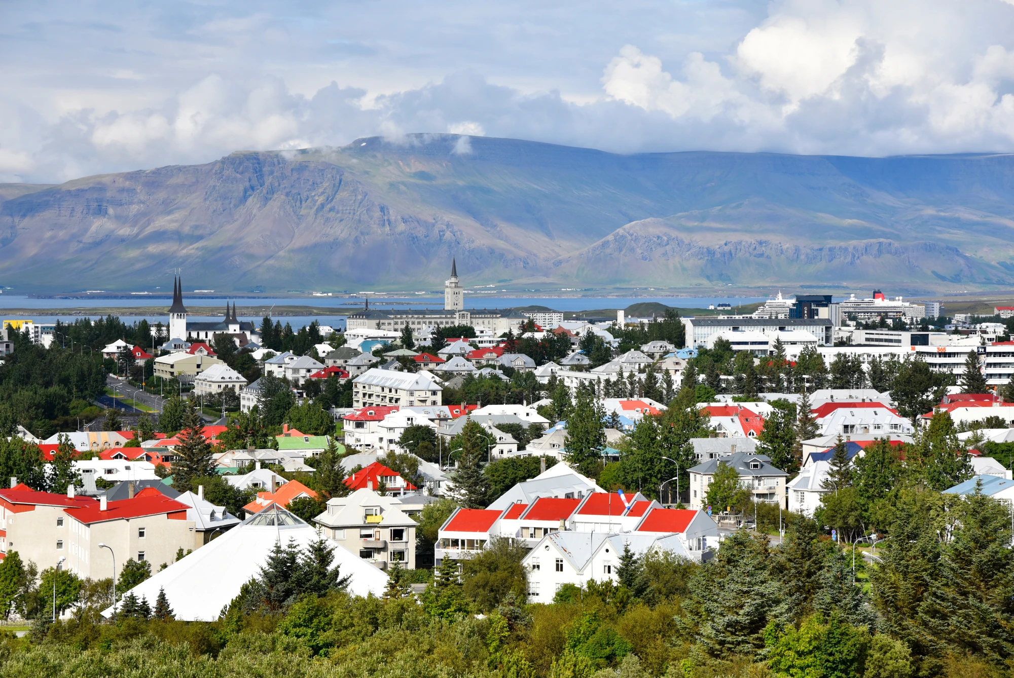 Bunte Häuser in Reykjavik umgeben von grünen Bäumen und Bergen