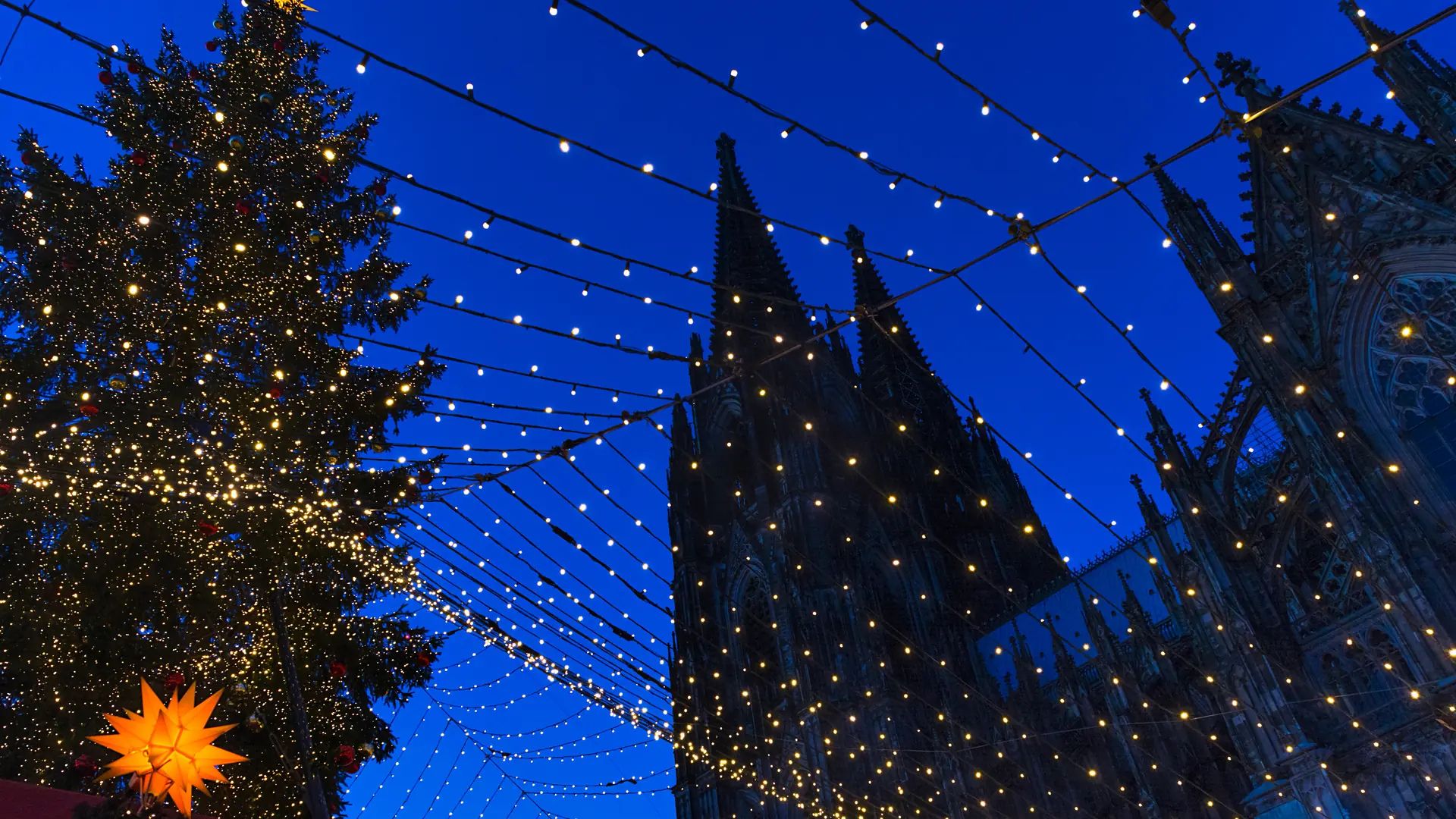Blick hoch zum Kölner Dom mit Weihnachtsbaum an der Seite und gespannter Lichterkette zur blauen Stunde