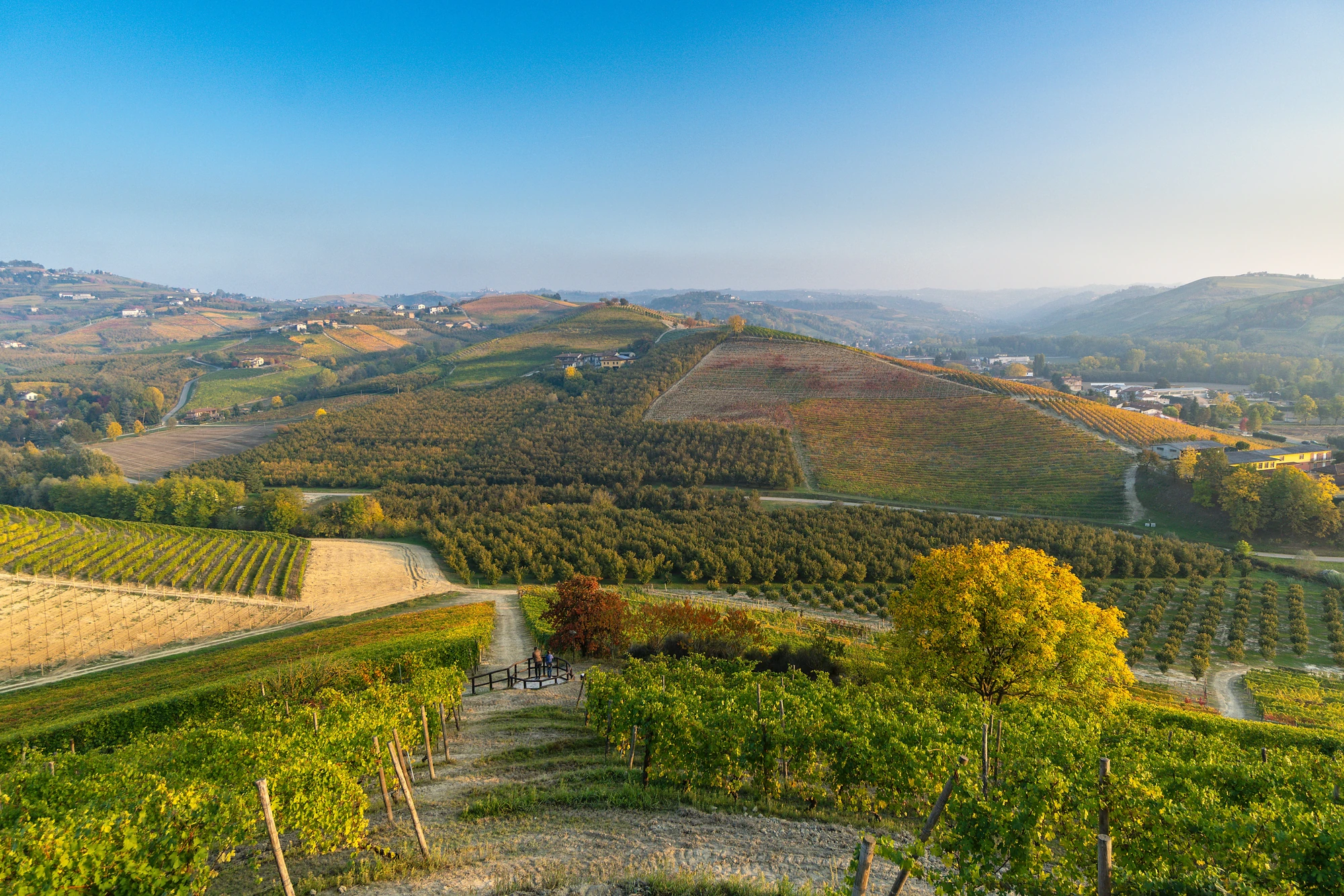 Blick von oben hinunter ins Tal über Weinreben und Felder in Herbstfarben