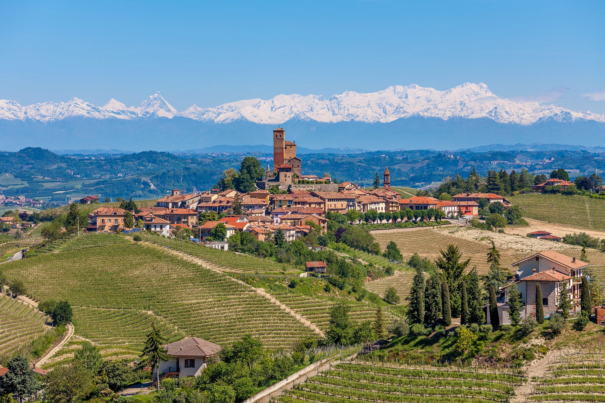 grüne Weinberge, italienisches Dorf, schneebedeckte Bergspitzen