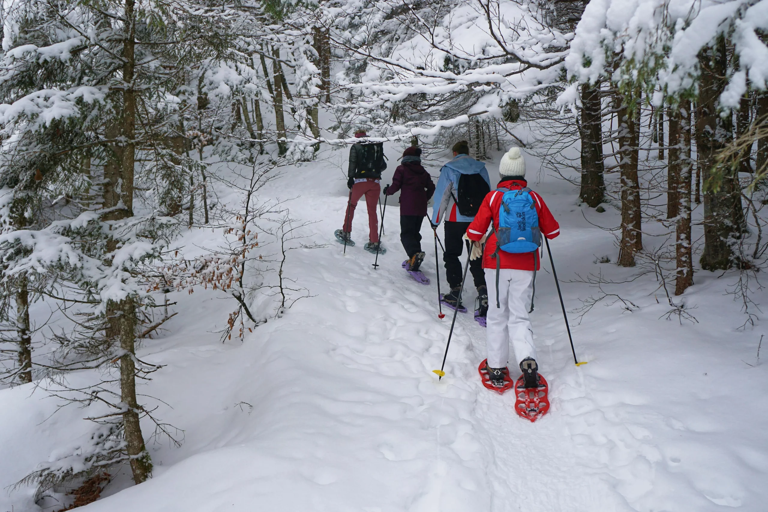 Gruppe von vier Personen, die durch einen dicht zugschneiten Wald Schneewandern.