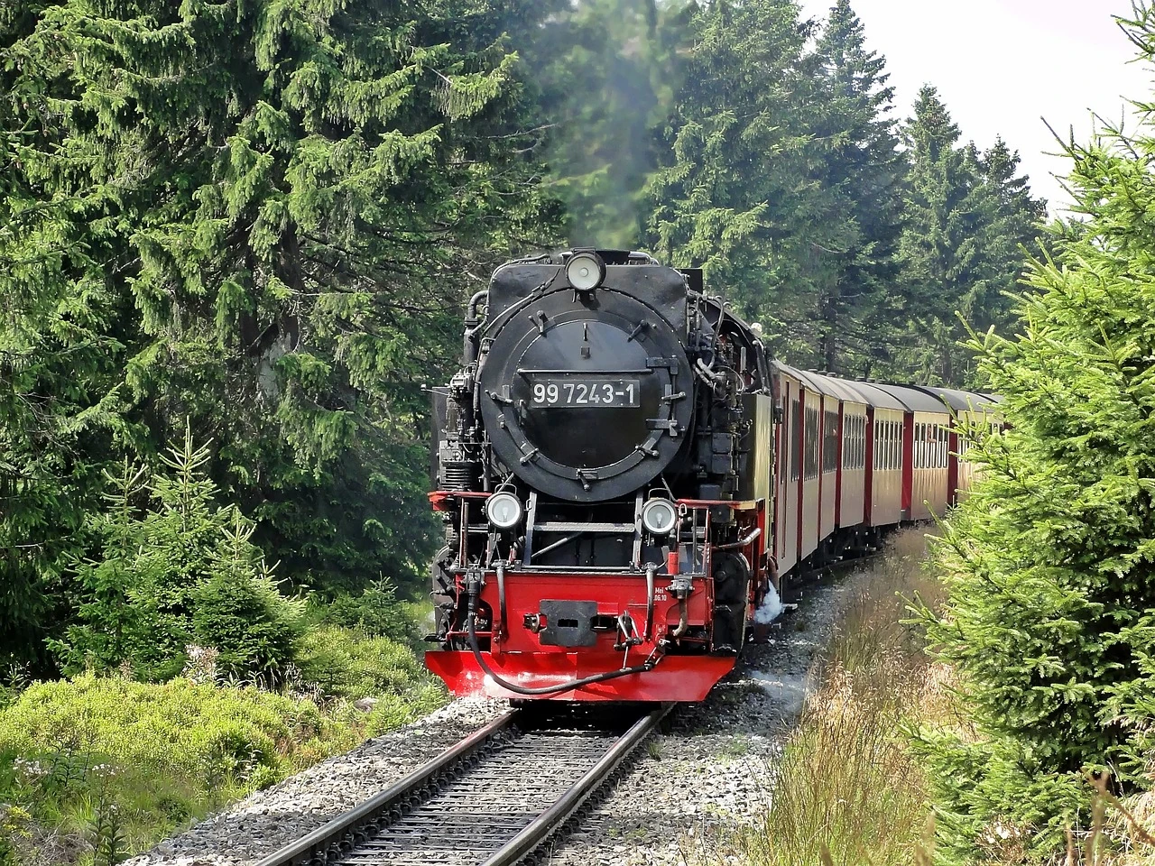 Schönste Wanderungen Harz Brockenbahn zwischen Tannen