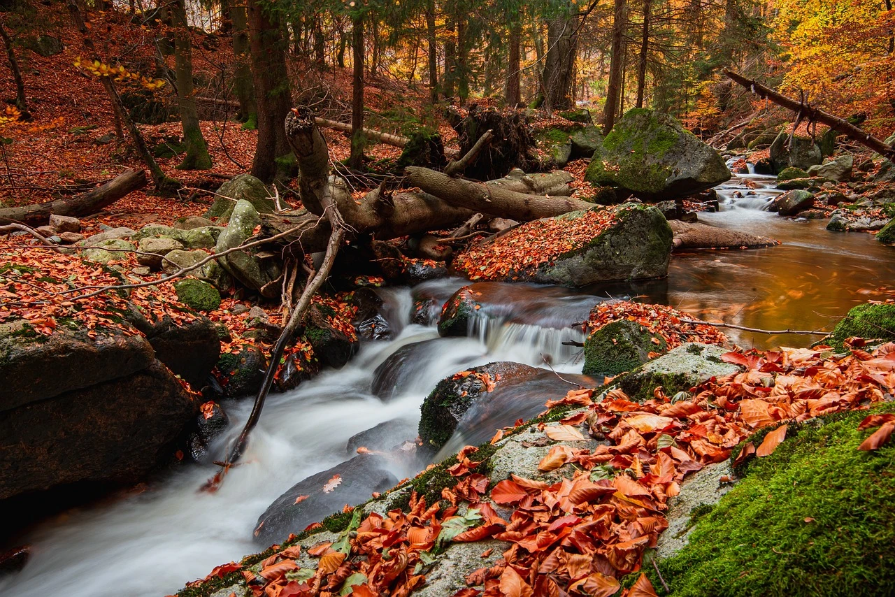 Schönste Wanderung Harz an der Ilse im Herbst und die Ilsefälle