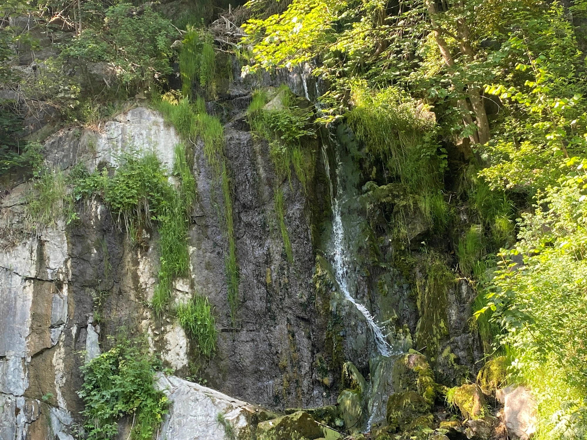 Schönste Wanderung Harz der Königshütter Wasserfall und grasbewachsene Felsen