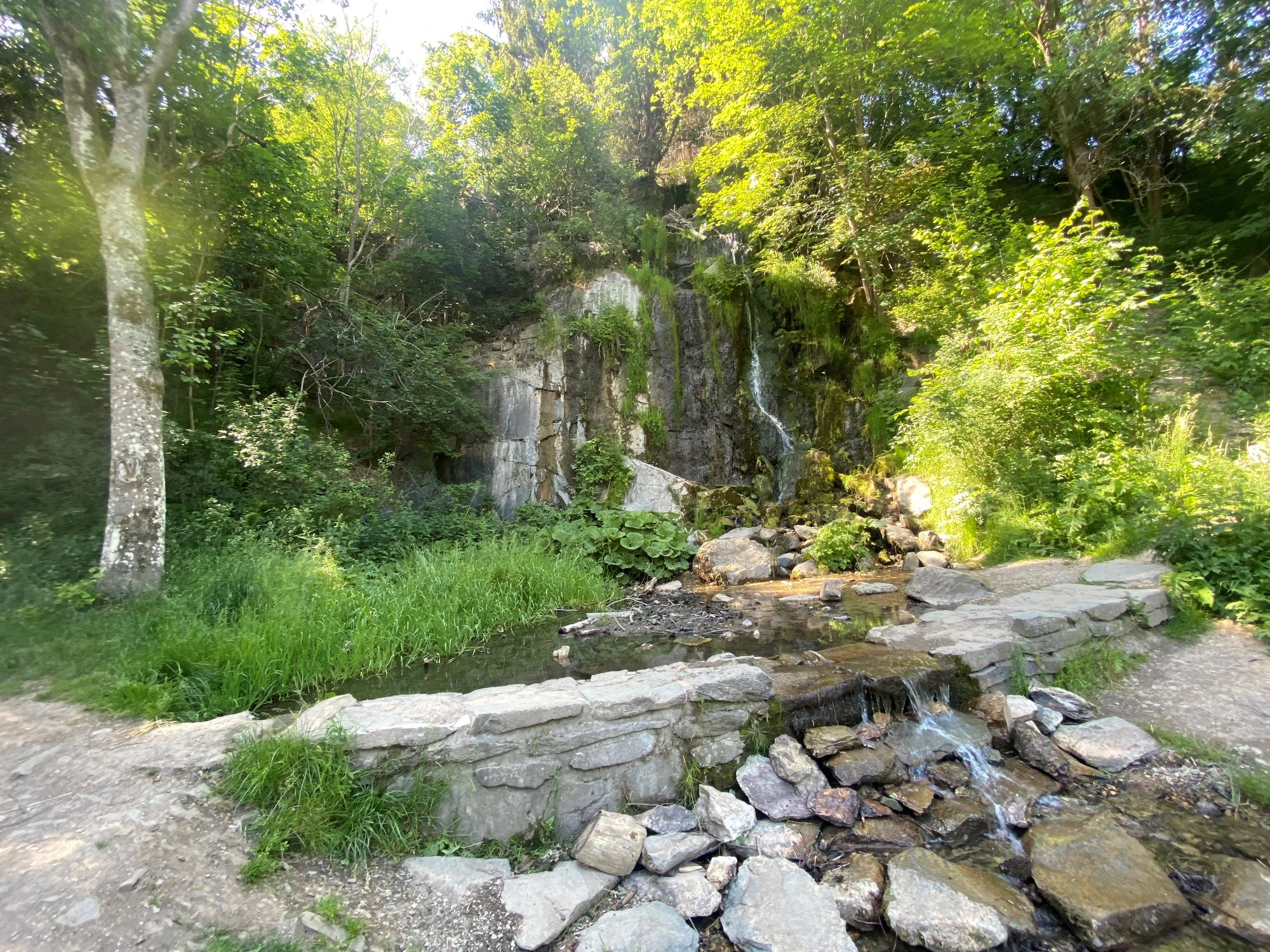 Schönste Wanderung Harz Königshütter Wasserfall Großaufnahme