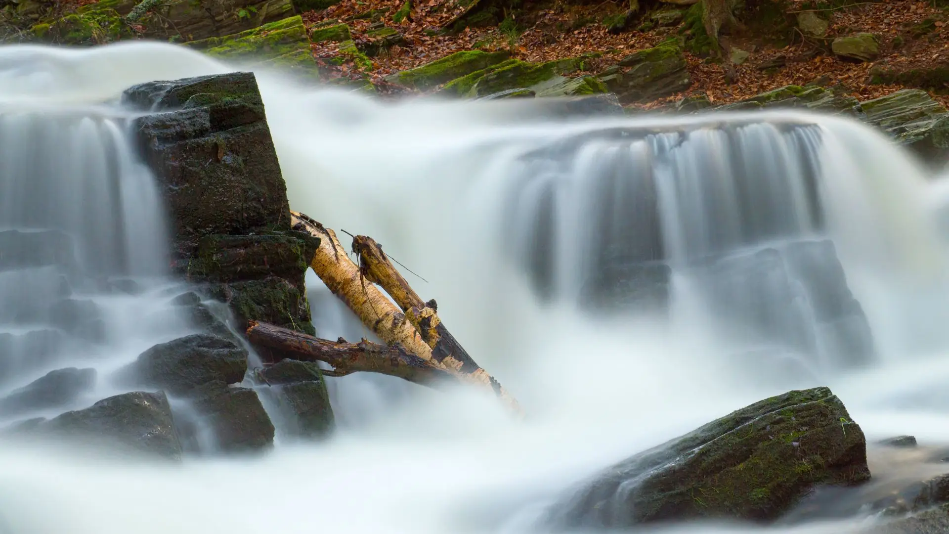 Wasserfall mit moosbedeckten Felsen und Treibholz im Selketal-Stieg bei Quedlinburg, umgeben von herbstlichem Laub.