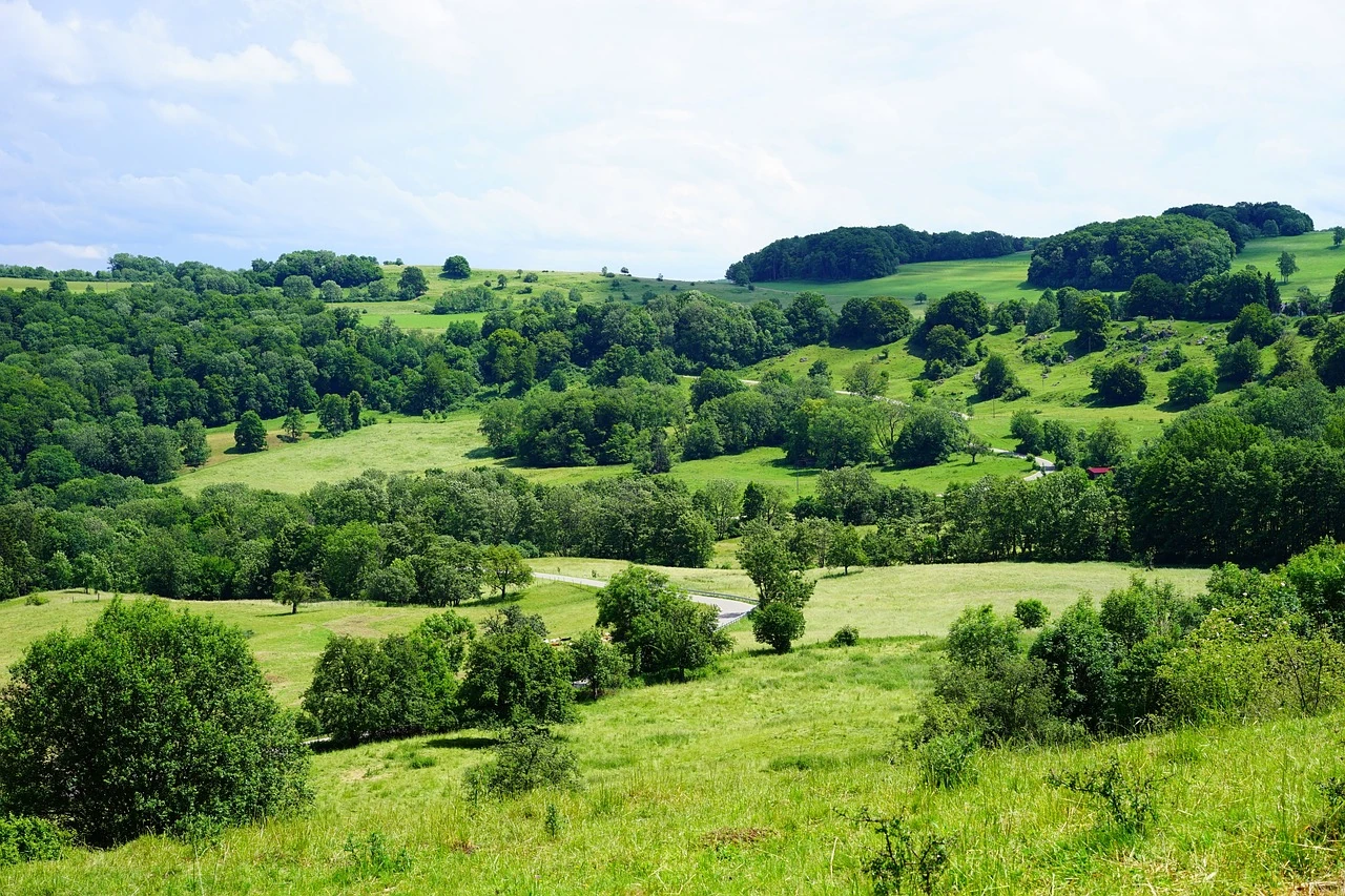Streuobstwiesen, Wacholderheiden und Buchenwälder im Biosphärengebiet Schwäbische Alb.