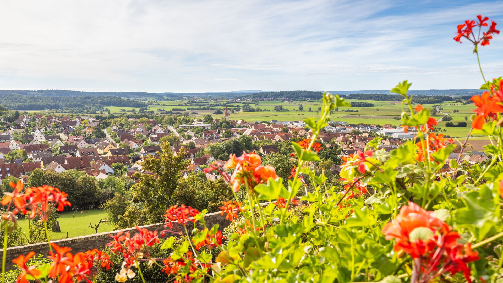 Blick über bunte Blumen auf die Dächer und Felder der Stadt Colmberg in einer ländlichen Umgebung.
