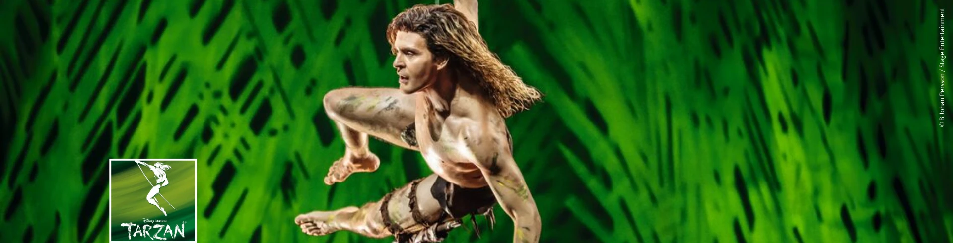Disney Musical Tarzan Banner mit Alexander Klaws