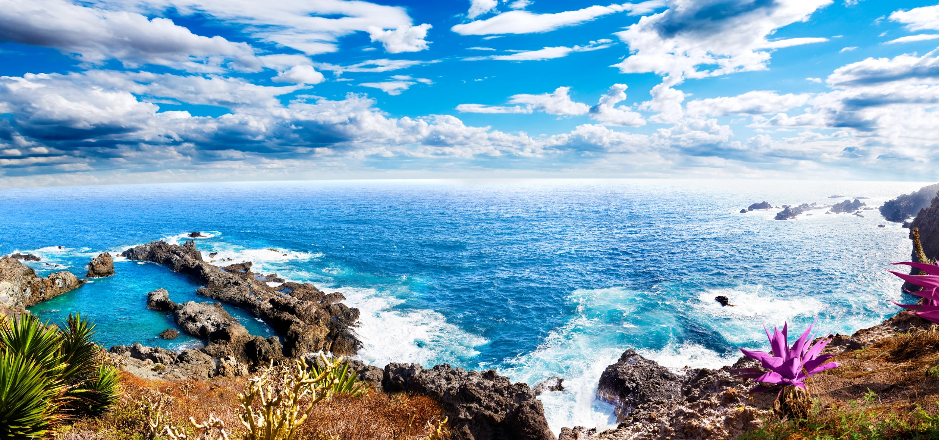 Küstenlandschaft mit Felsen, blauem Meer und bewölktem Himmel, im Vordergrund grüne und violette Pflanzen.Teneriffa