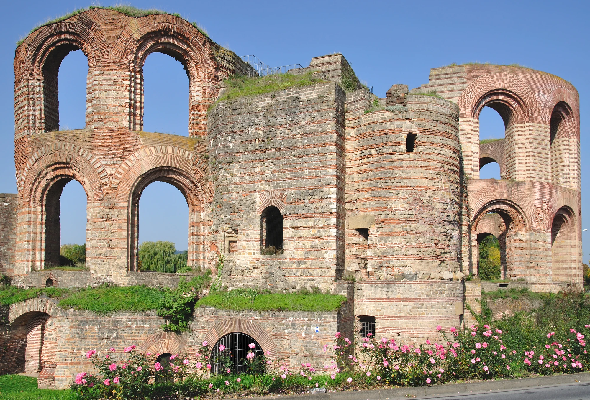 Trier Sehenswürdigkeiten Die berühmten Kaiserthermen in Trier pinke Blumen