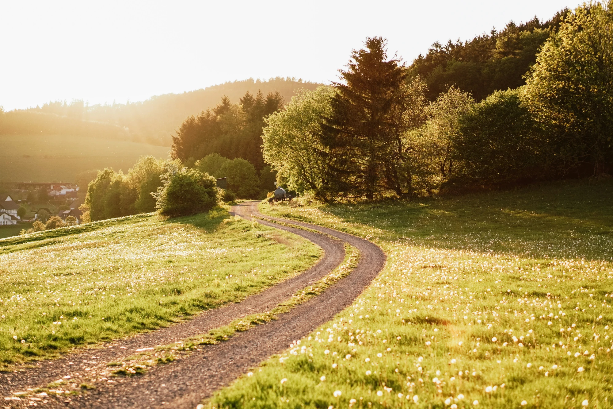 Sauerland - grüne Wiesen und Natur bei schöner Sonne