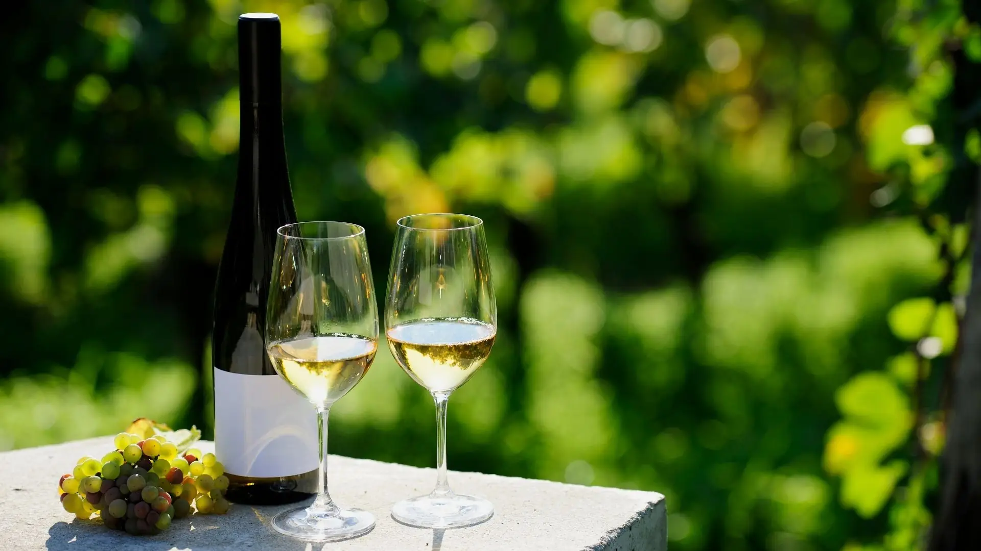 Zwei Gläser mit Weißwein, eine Weinflasche mit weißem Etikett und ein Traubenbund auf einem Tisch im Freien.