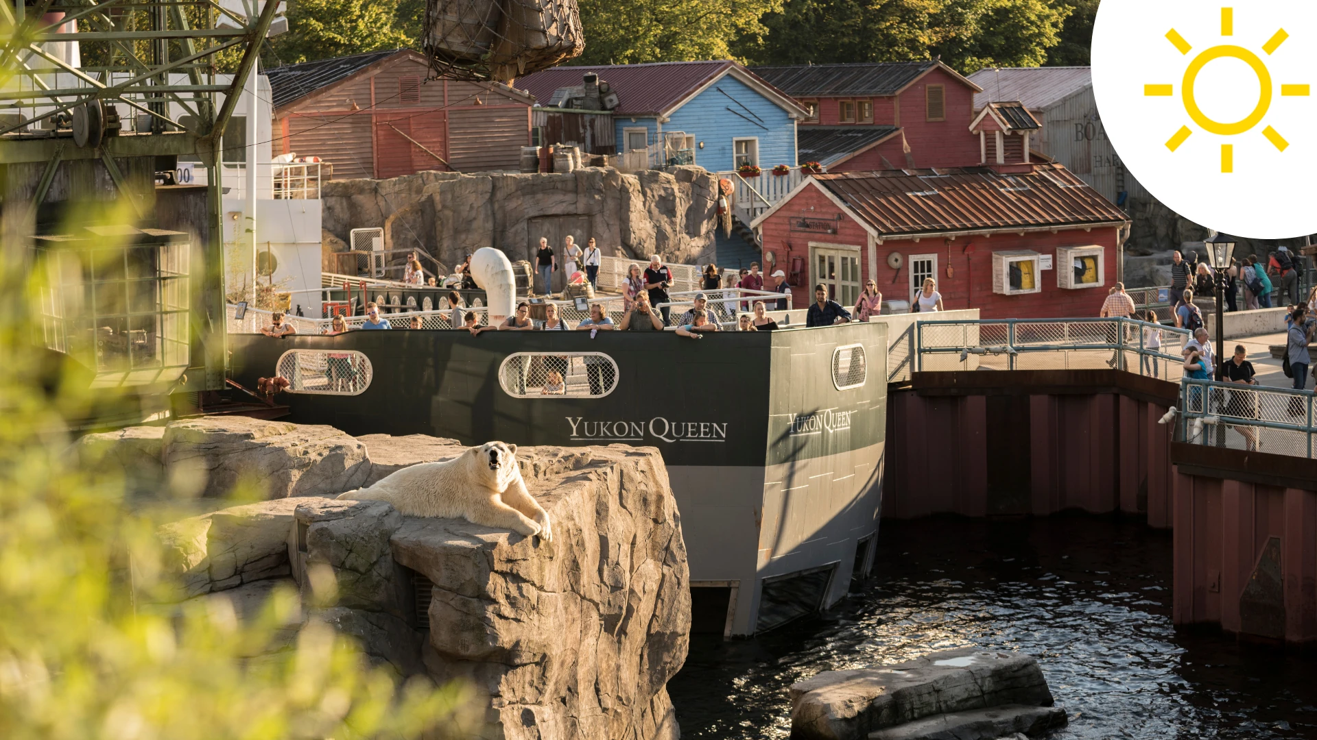 Zoo Hannover Wassergehege Yukon Queen mit Icon