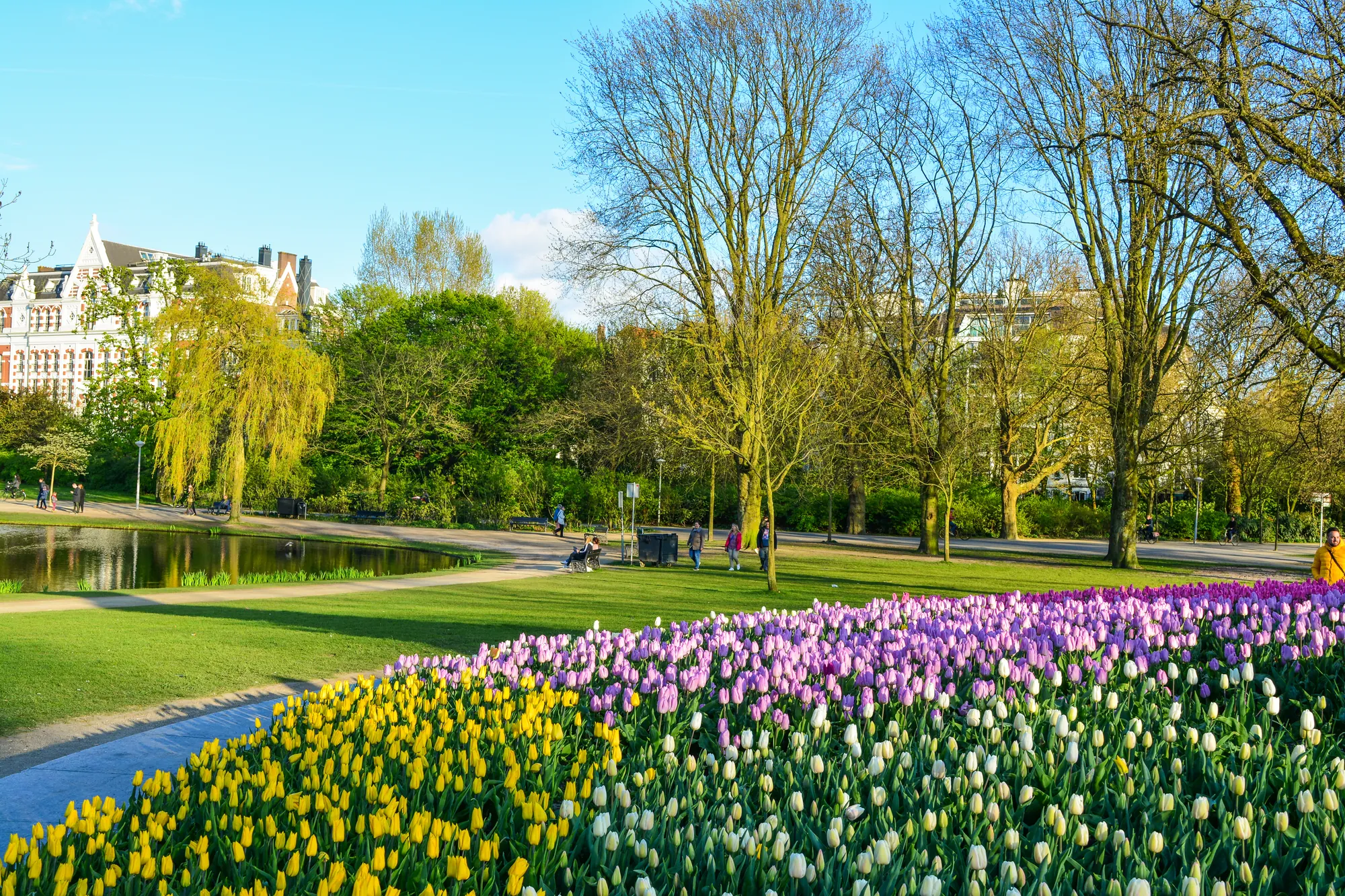 Vondelpark im Frühling, präsentiert sich mit einer gepflegten Parklandschaft und blühenden, farbenfrohen Blumen, die eine einladende und lebendige Atmosphäre schaffen.