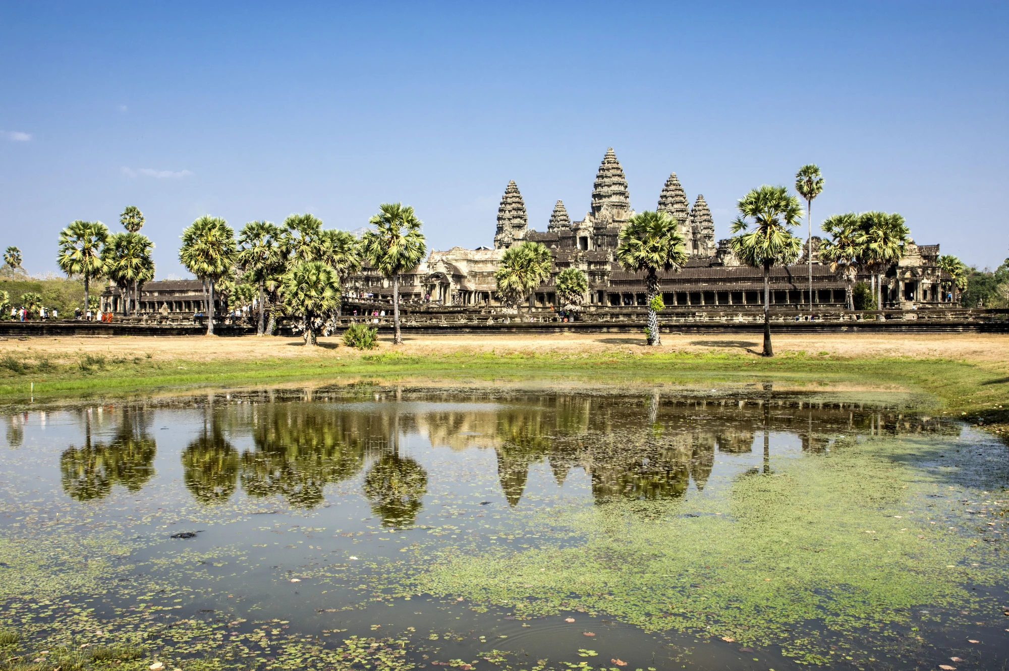 Angkor Wat mit mehreren Türmen und Palmen im Vordergrund, reflektiert im Wasser eines Teichs. Klare blaue Himmel.