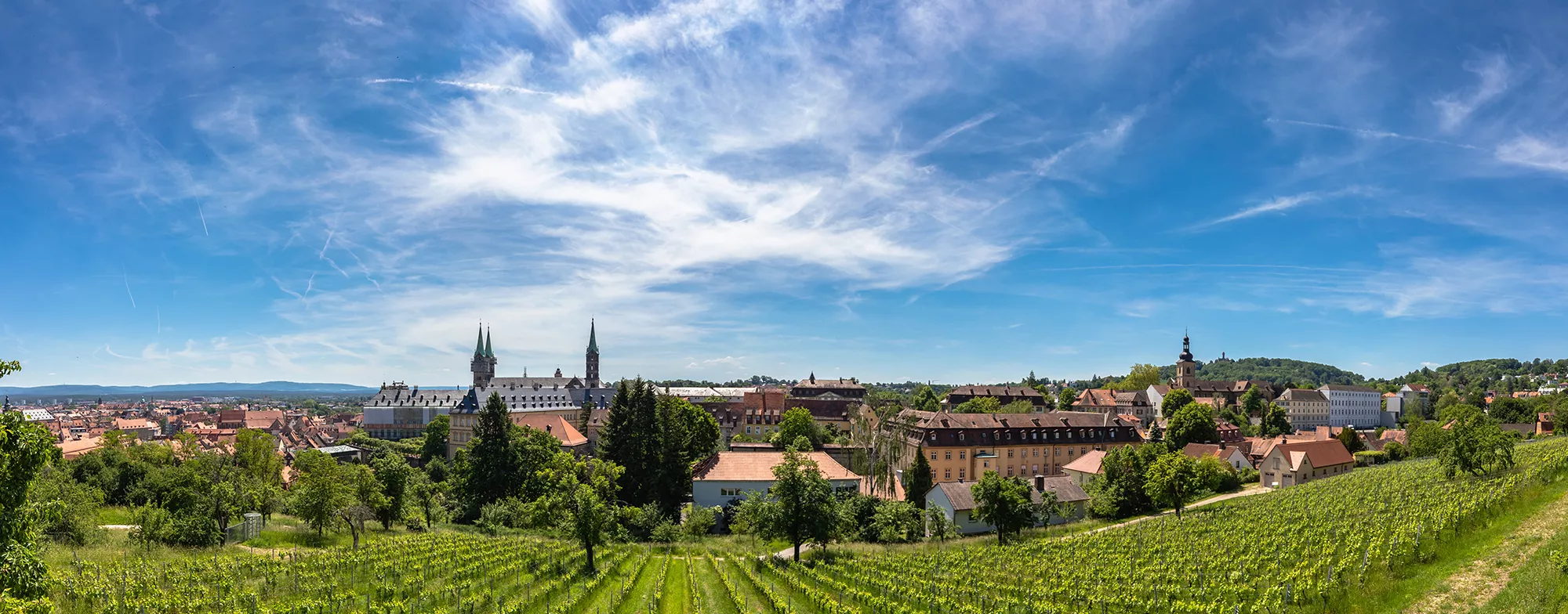 Panoramablick vom Michaelsberg auf Bamberg und Weinhang
