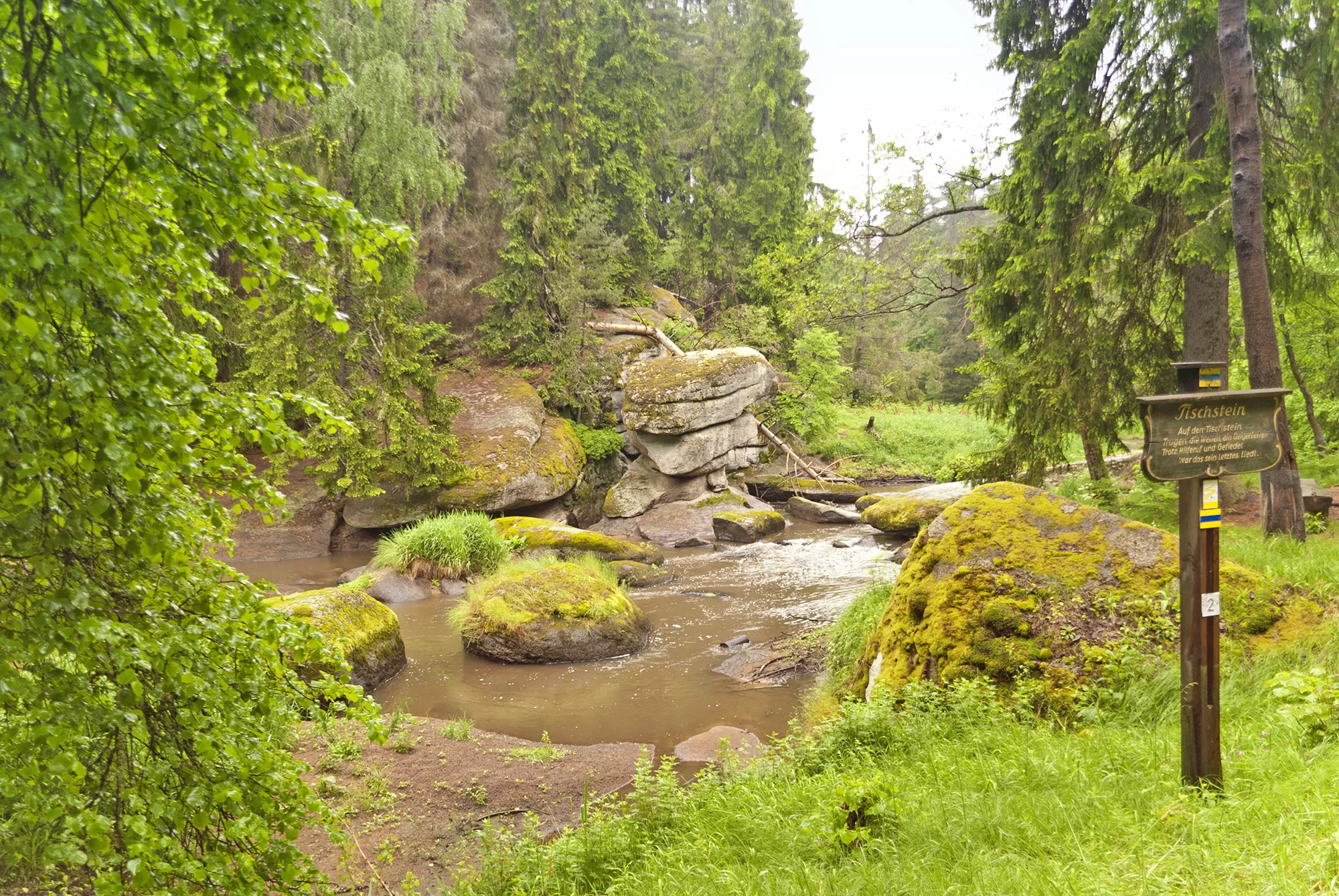 grüner Goldsteig ist ein schönes Ausflugsziel beim Urlaub im Bayerischen Wald