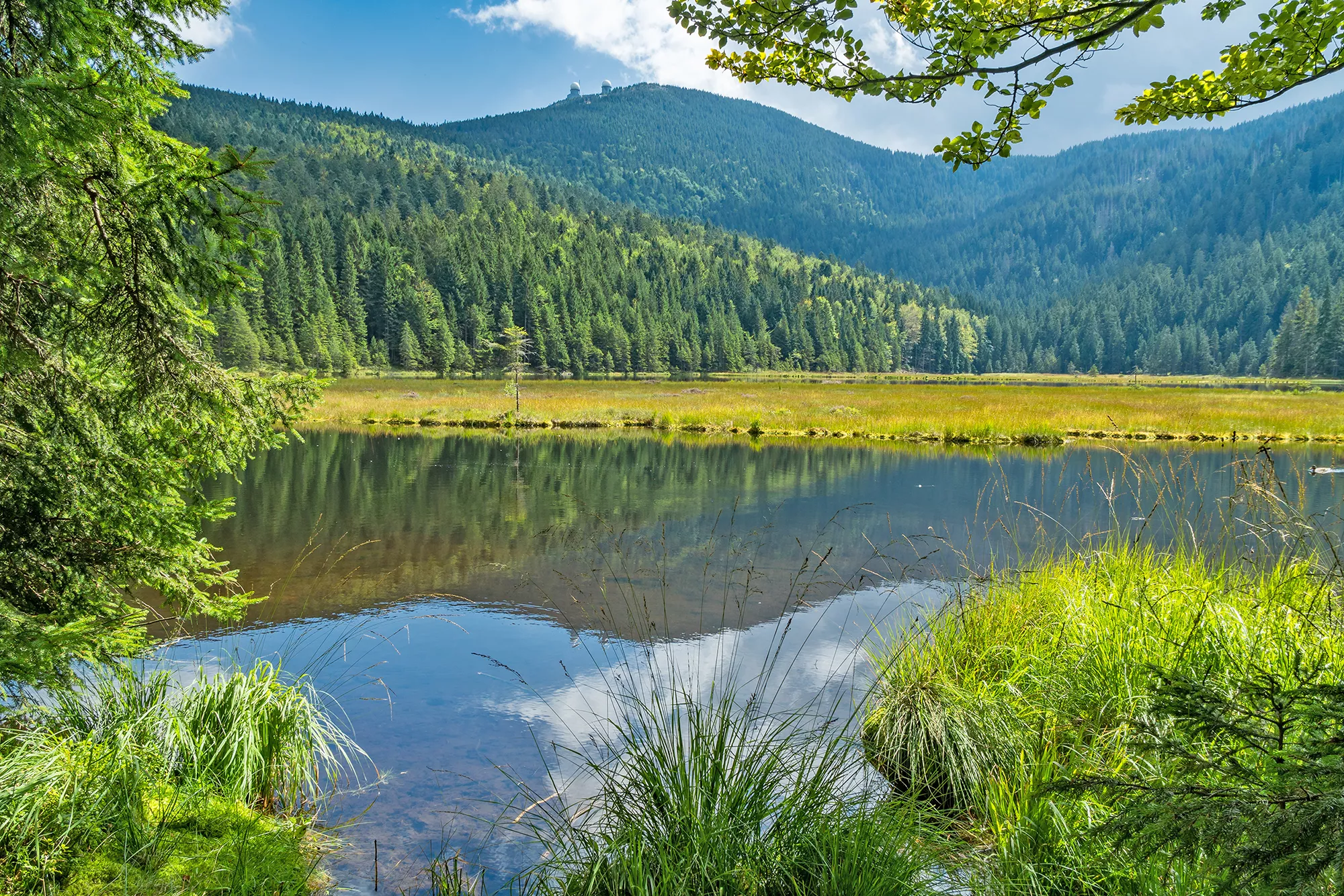 Kleiner Arbersee im Bayerischen Wald