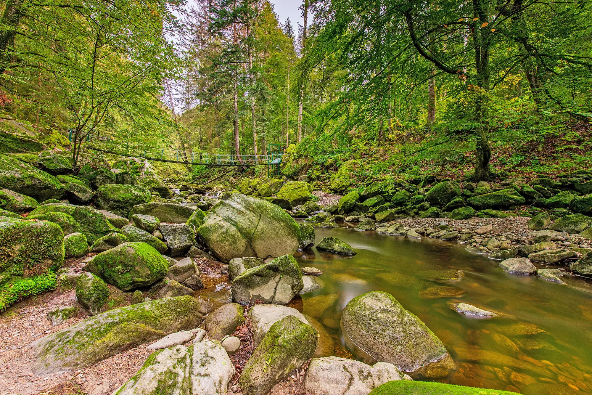 Wildbachklamm Buchberger Leite im Bayerischen Wald