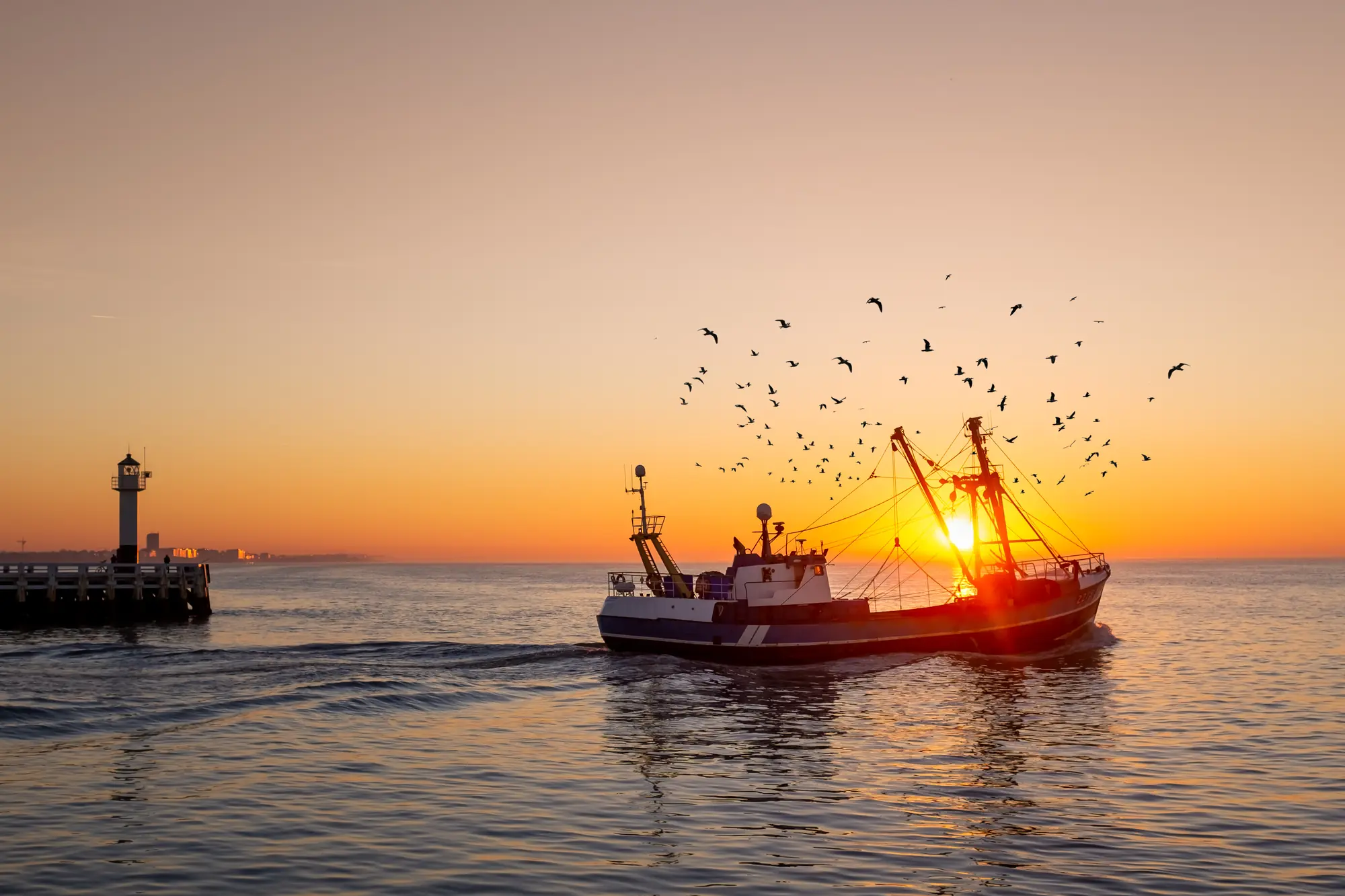 Fischerboot im Sonnenuntergang bei Nieuwpoort, umgeben von goldenem Licht. Eine Gruppe von Vögeln fliegt über das ruhige Wasser und verstärkt die malerische Atmosphäre.