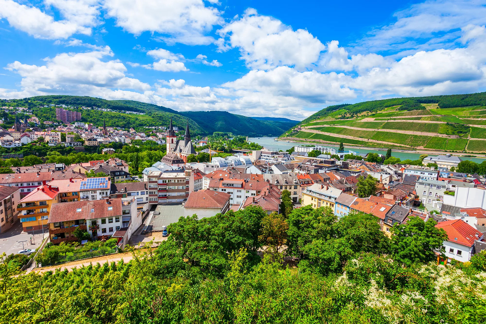Mäuseturm und Burg Ehrenfels in Bingen