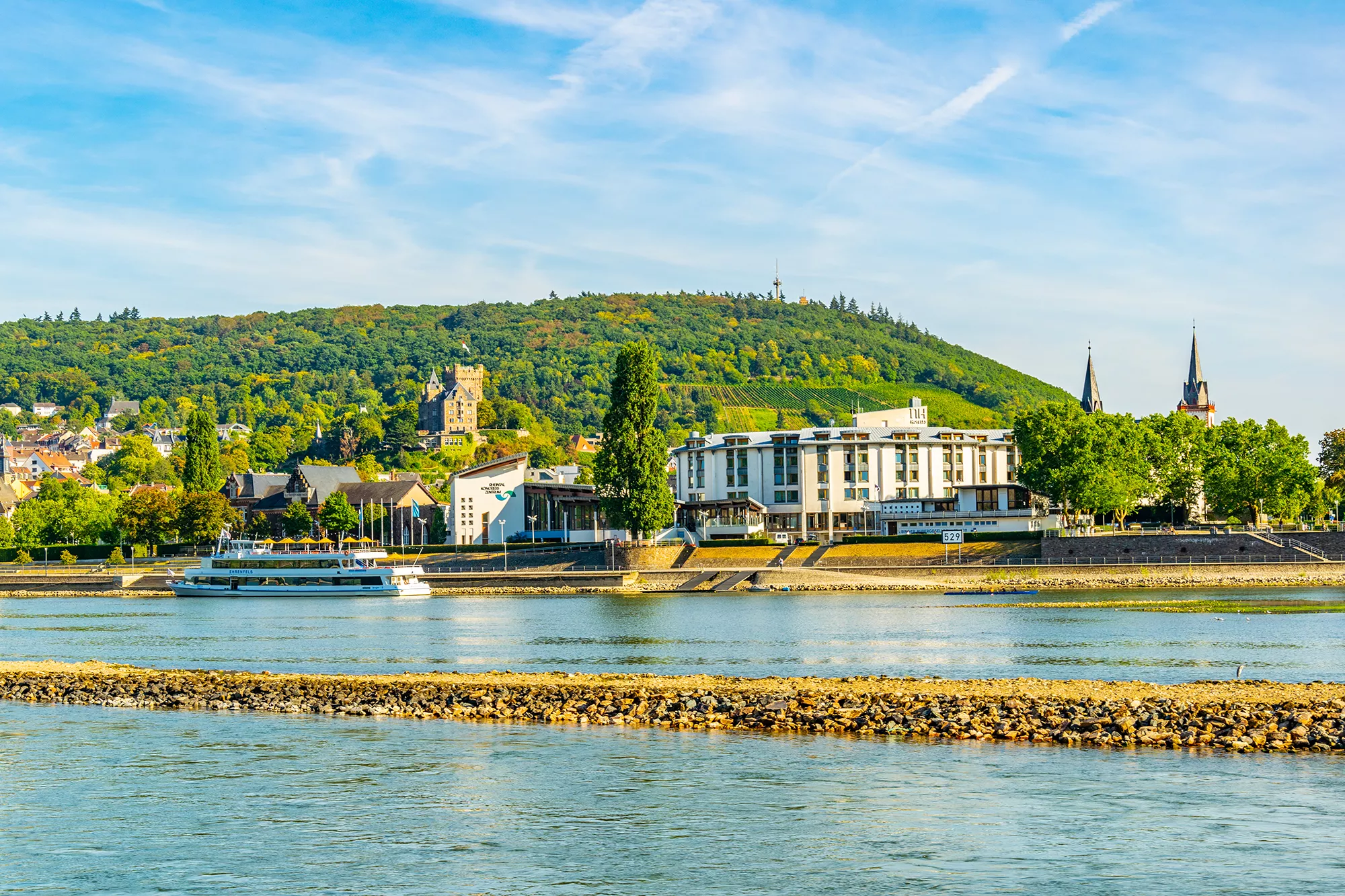 Blick auf Bingen mit Weinbergen