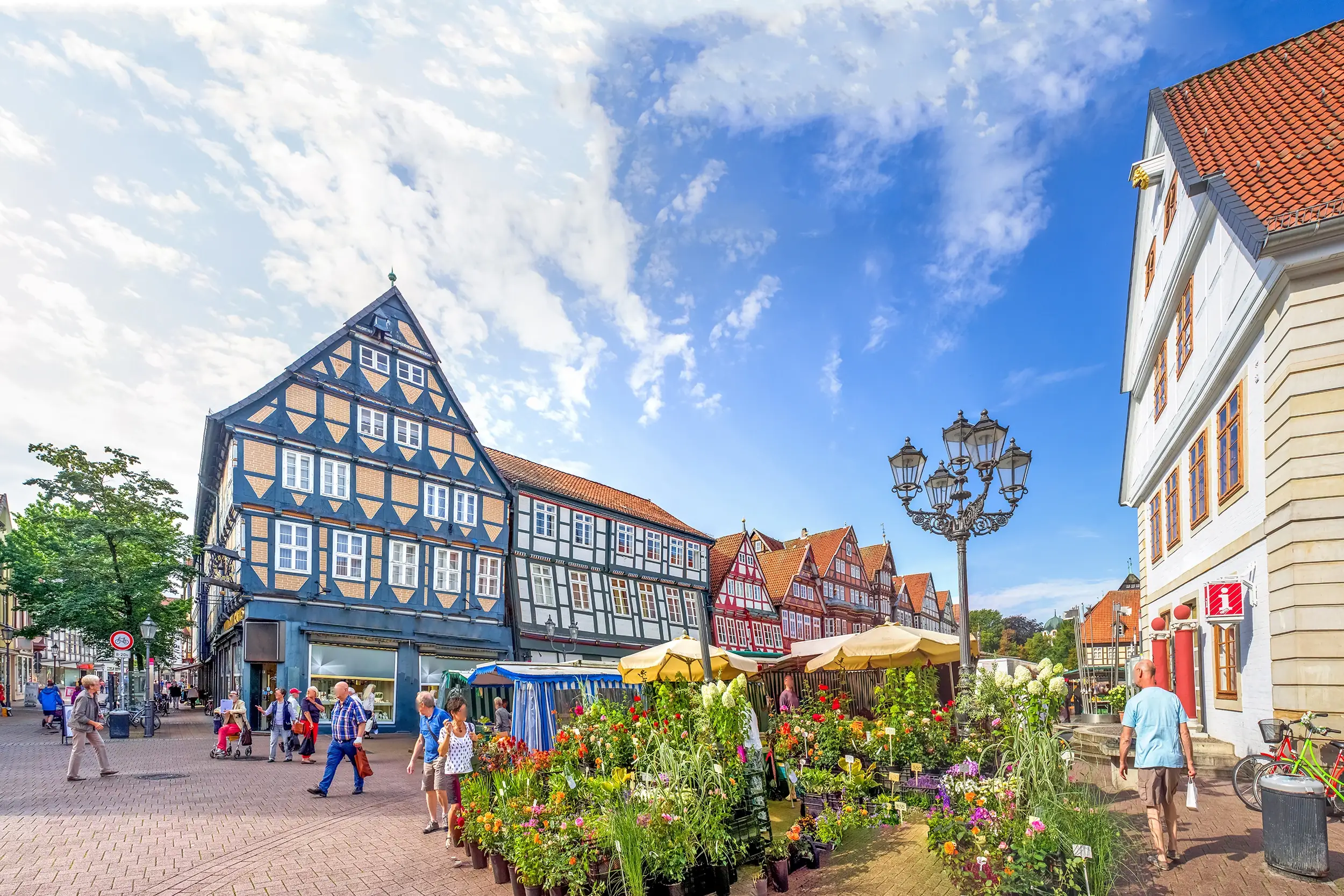 Celle, Innenstadt und Blumenmarkt