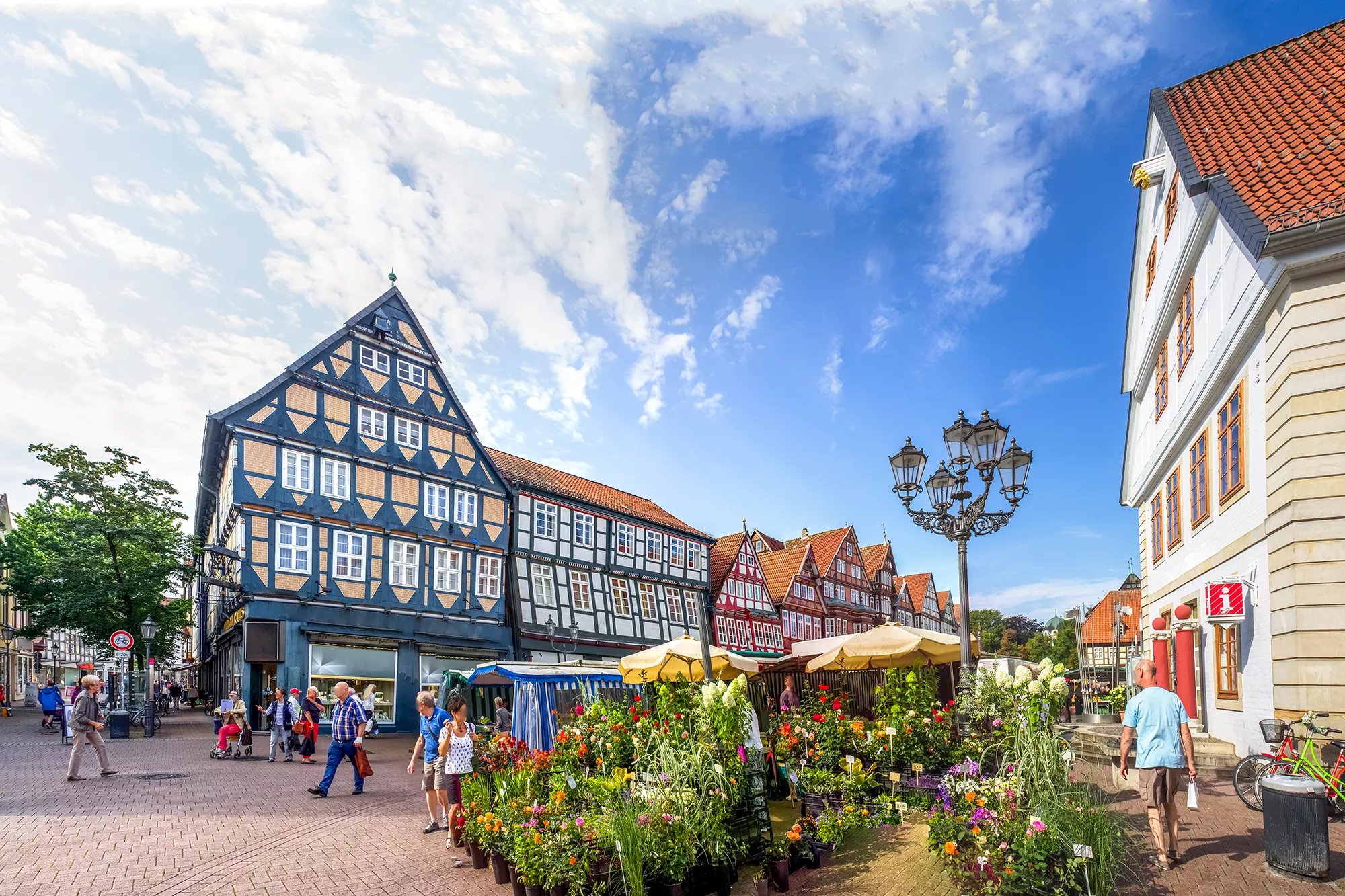 Markt in Celle