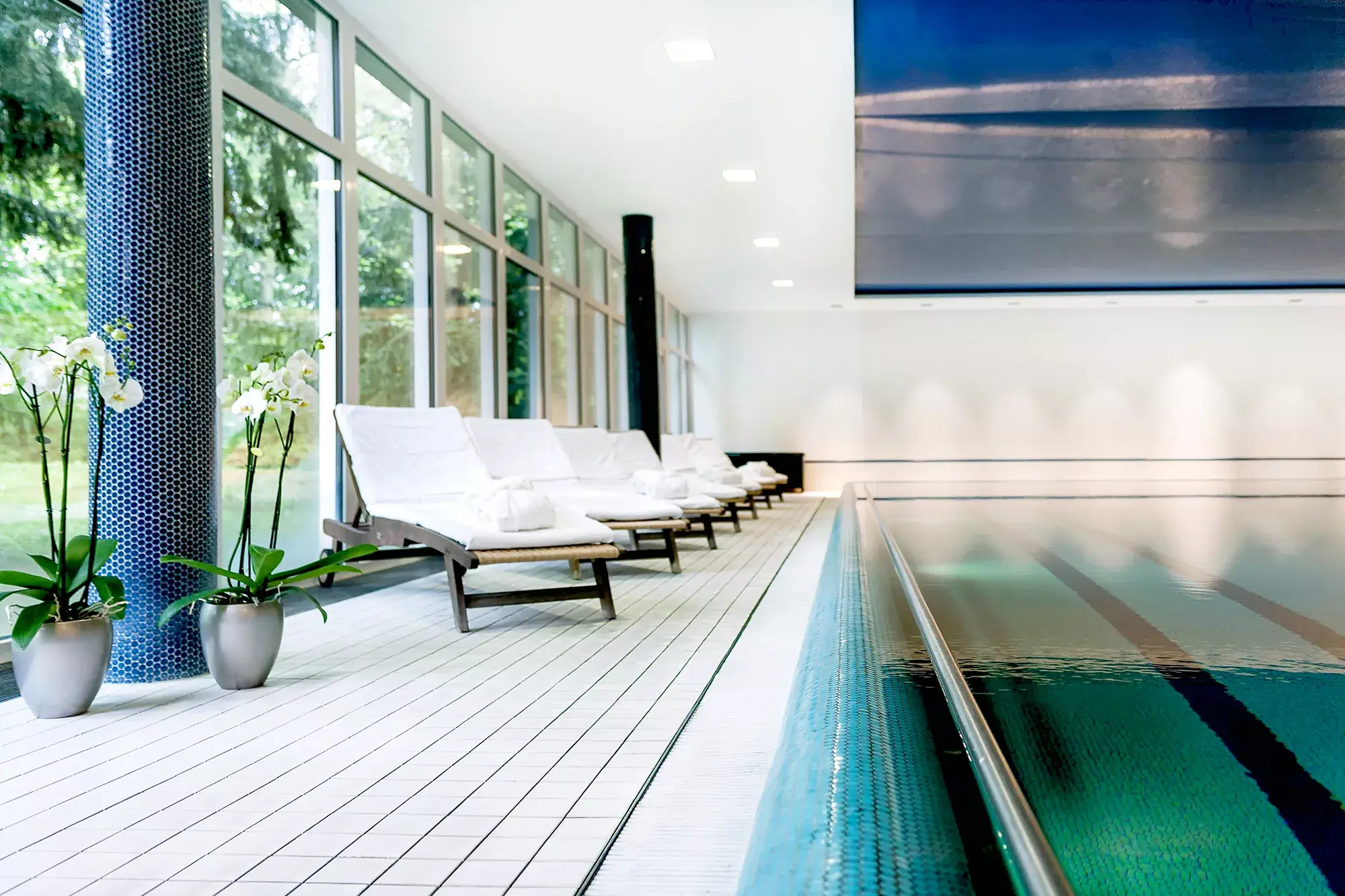 Blick in den Indoor Poolbereich des Hotel Dolce Bad Nauheim mit Schwimmbecken, Liegestühlen und weißen Orchideen