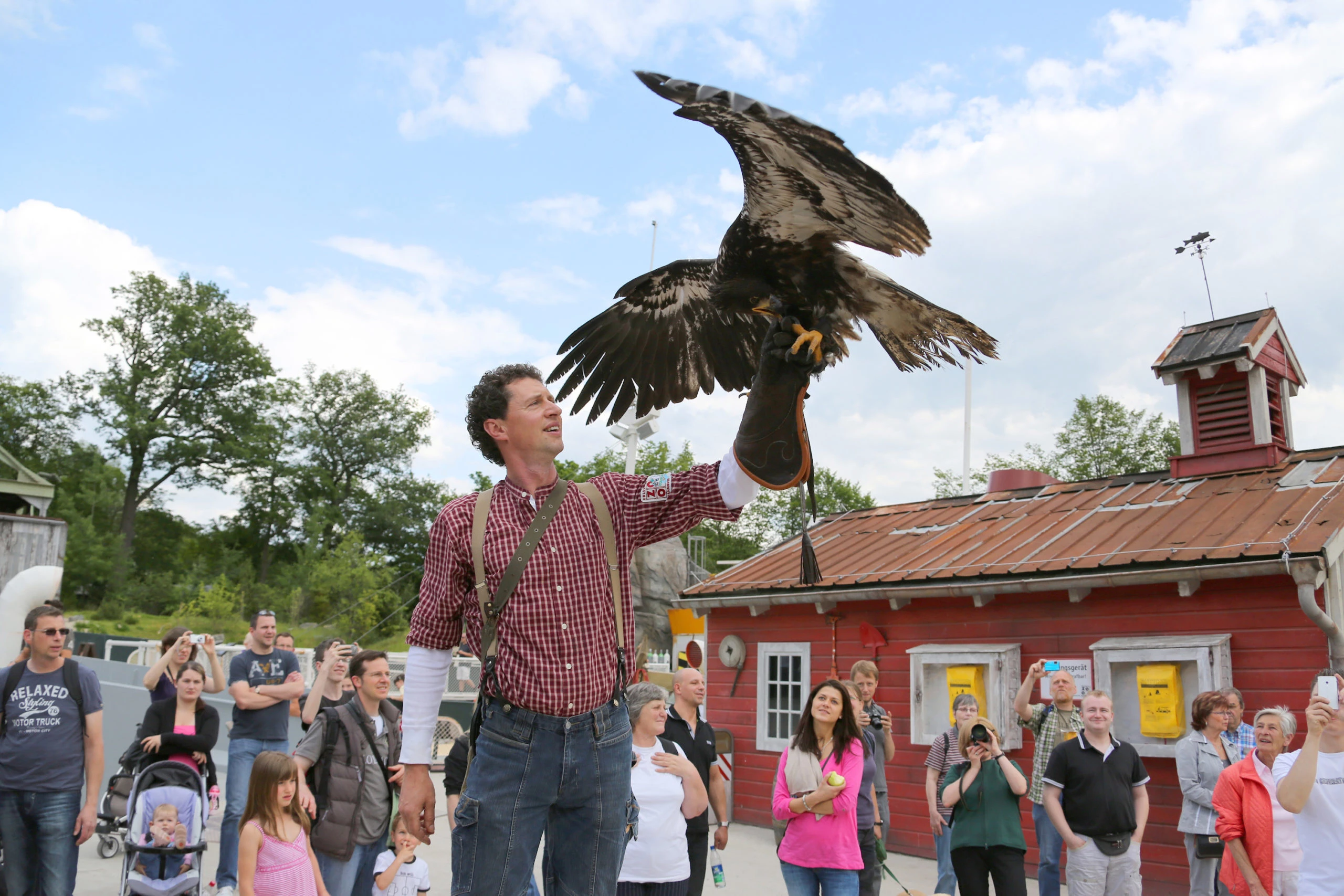 Show Vorführung mit Falken im Erlebnis Zoo Hannover