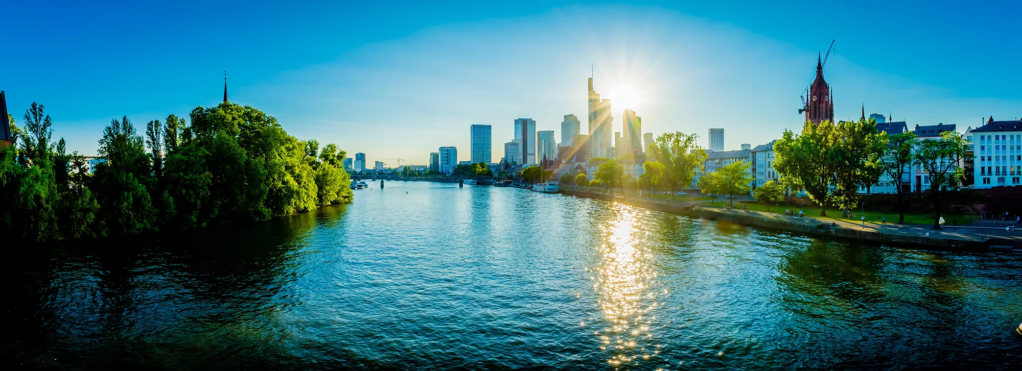 Blick von Main auf ein begrüntes Ufer mit Wohnhäusern in Frankfurt am Main