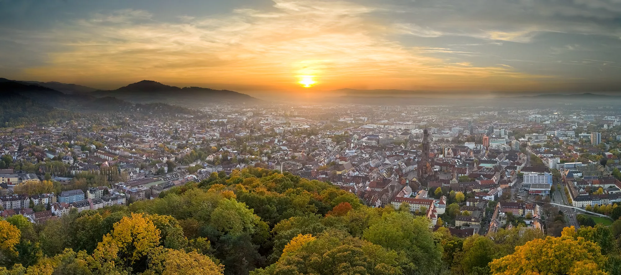 Blick bei einem Besuch mit Hotel in Freiburg im Breisgau