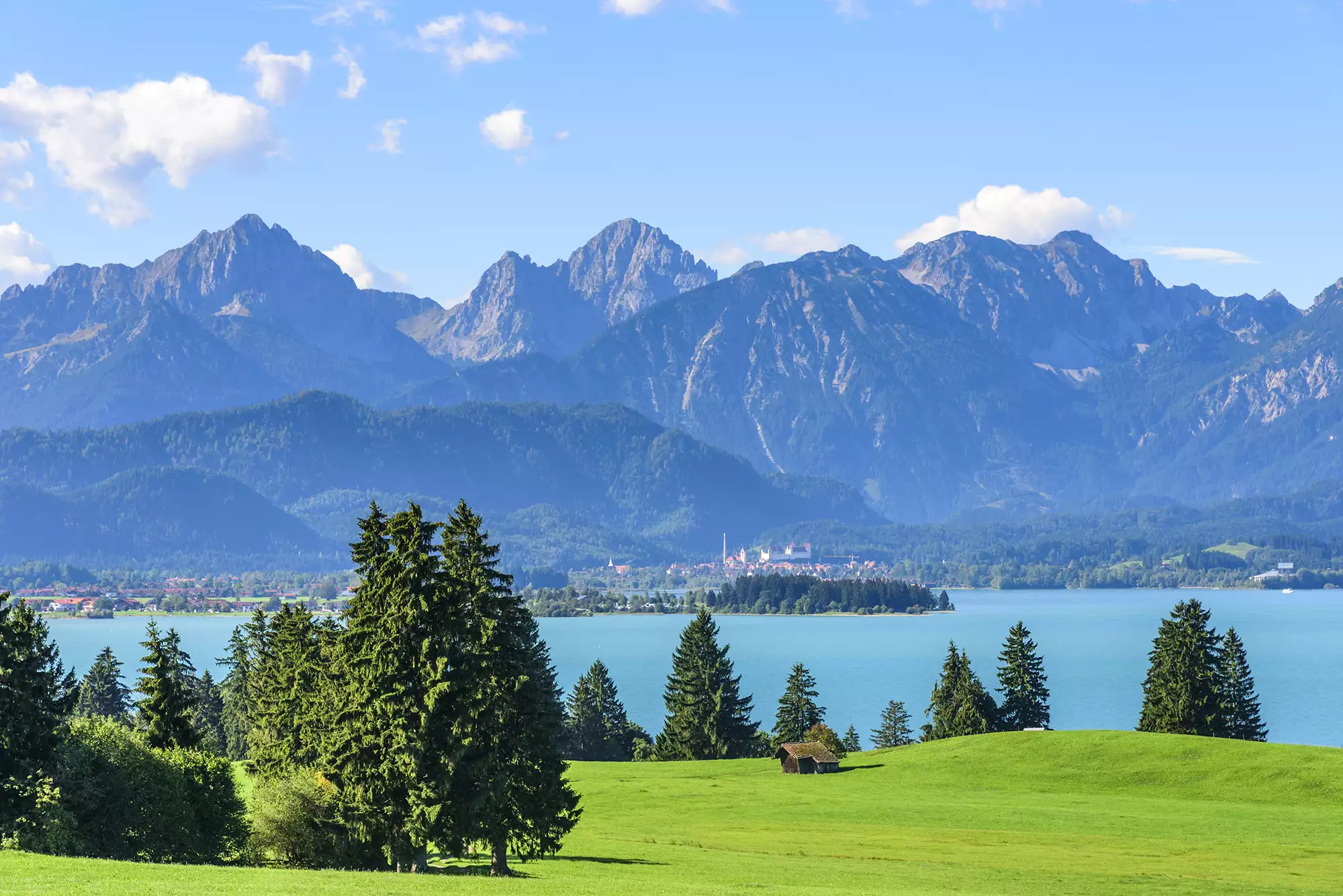 Blick auf die grünen Wiesen und den Forggensee und die Alpen im Hintergrund