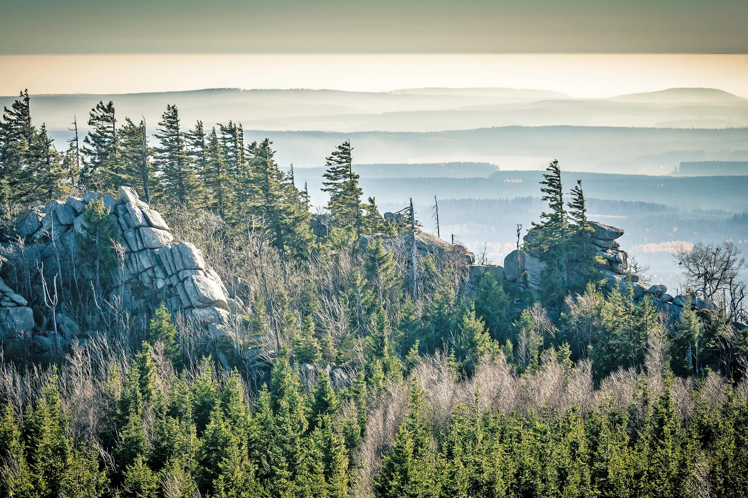 Wunderschöner Blick auf Bäume und Felsen im Harz im Morgentau beim Besuch des Brockens mit Hotel