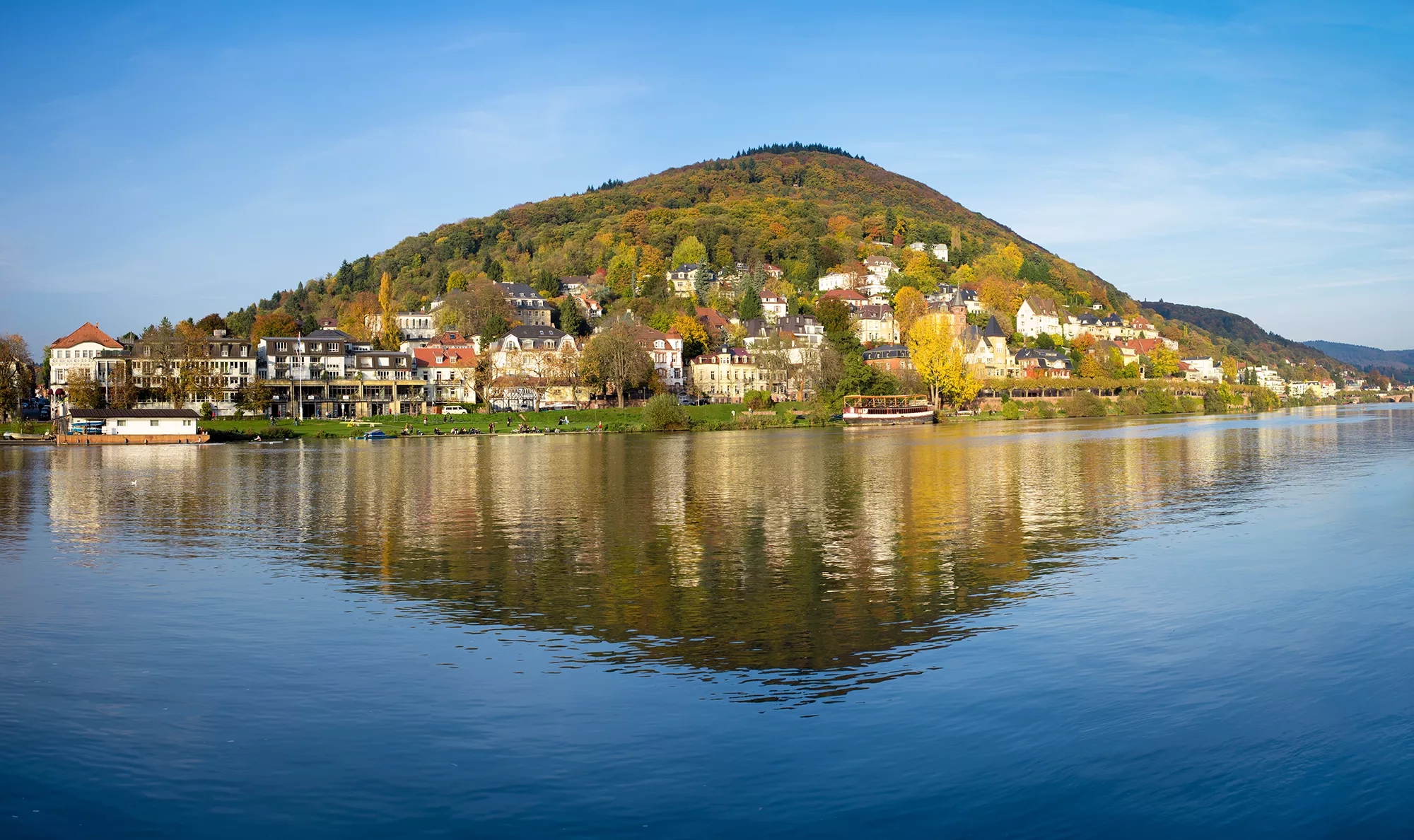 Blick auf Heidelberg und den Neckar