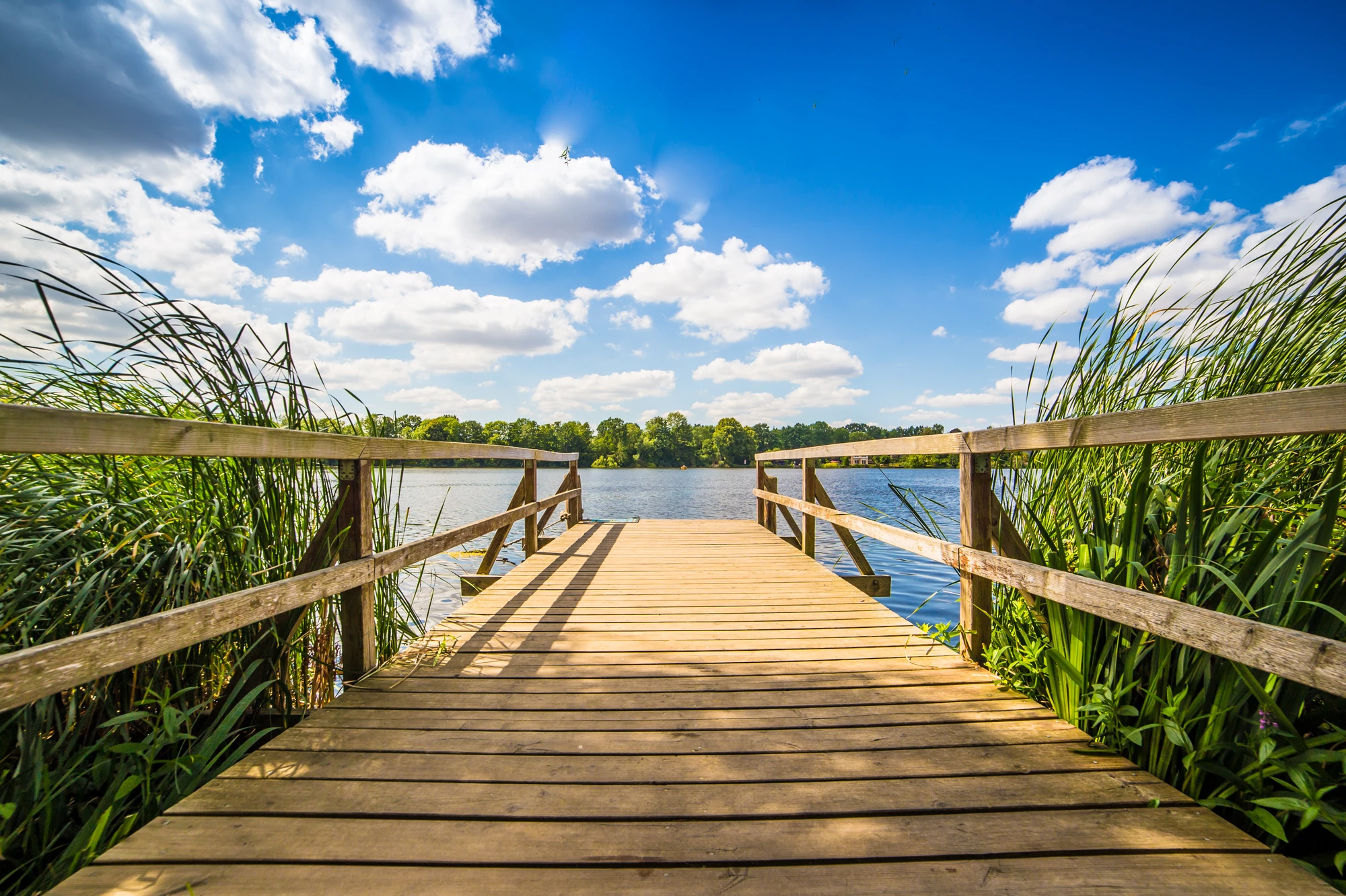 Holzsteg mit Geländer führt über Schilf zu einem See unter blauem Himmel mit weißen Wolken