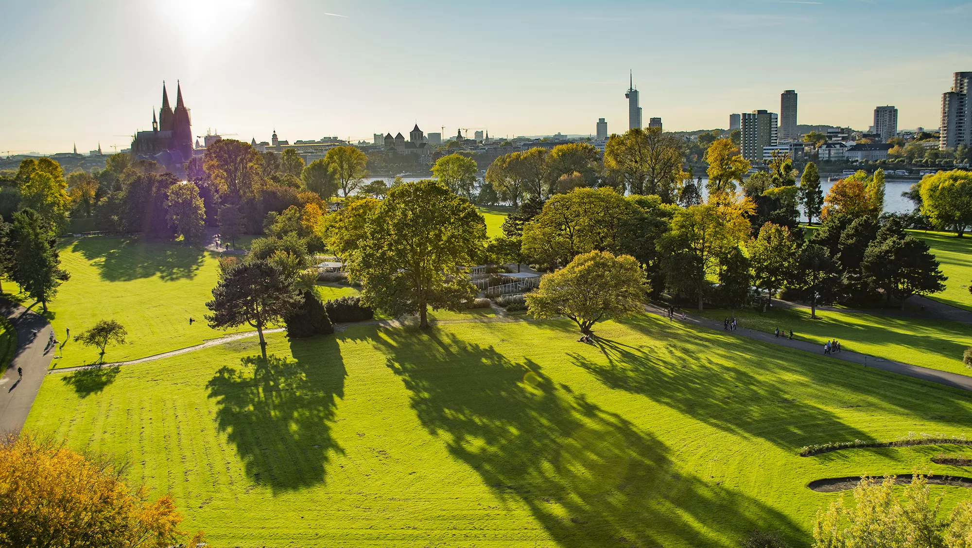 grüner öffentlicher Park in der Stadt Köln am Rheinufer mit dem Dom im Hintergrund