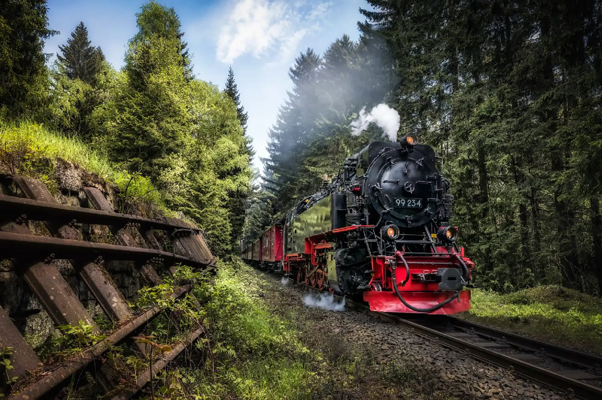 Harzer Schmalspurbahn Brockenbahn in schwarz rot die über Schienen in einem Wald fährt und Rauch ausstößt