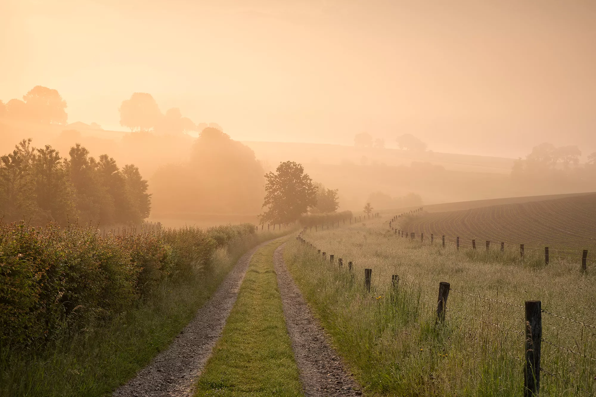 Im Frühnebel verhangene, wildromantische Lahntallandschaft mit Feldweg bei Limburg
