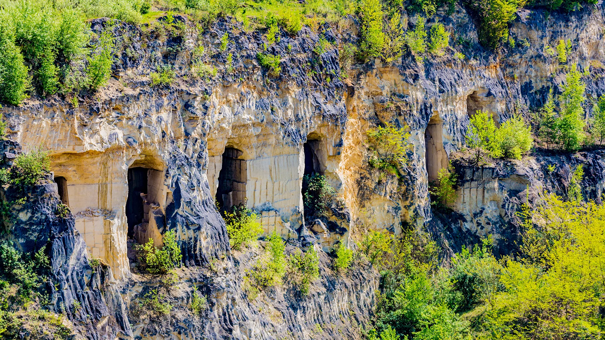 Der Sint Pietersberg, ein Hochplateau in der Nähe von Maastricht, bei hellem Tageslicht. Die markante Landschaft zeigt die sanften Hügel und die üppige Vegetation, die das Plateau umgeben. Das klare Licht des Tages hebt die natürlichen Farben hervor und vermittelt eine einladende und friedliche Atmosphäre in dieser malerischen Umgebung.