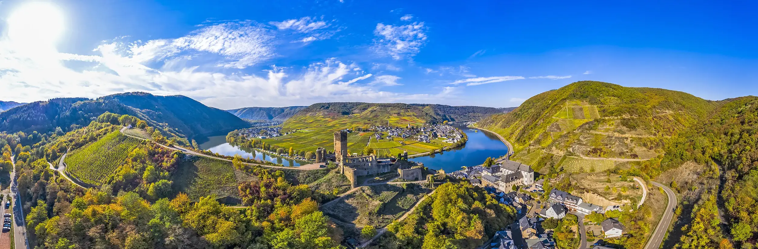 Mosel-Panorama mit Schloss Metternich und Weinbergen