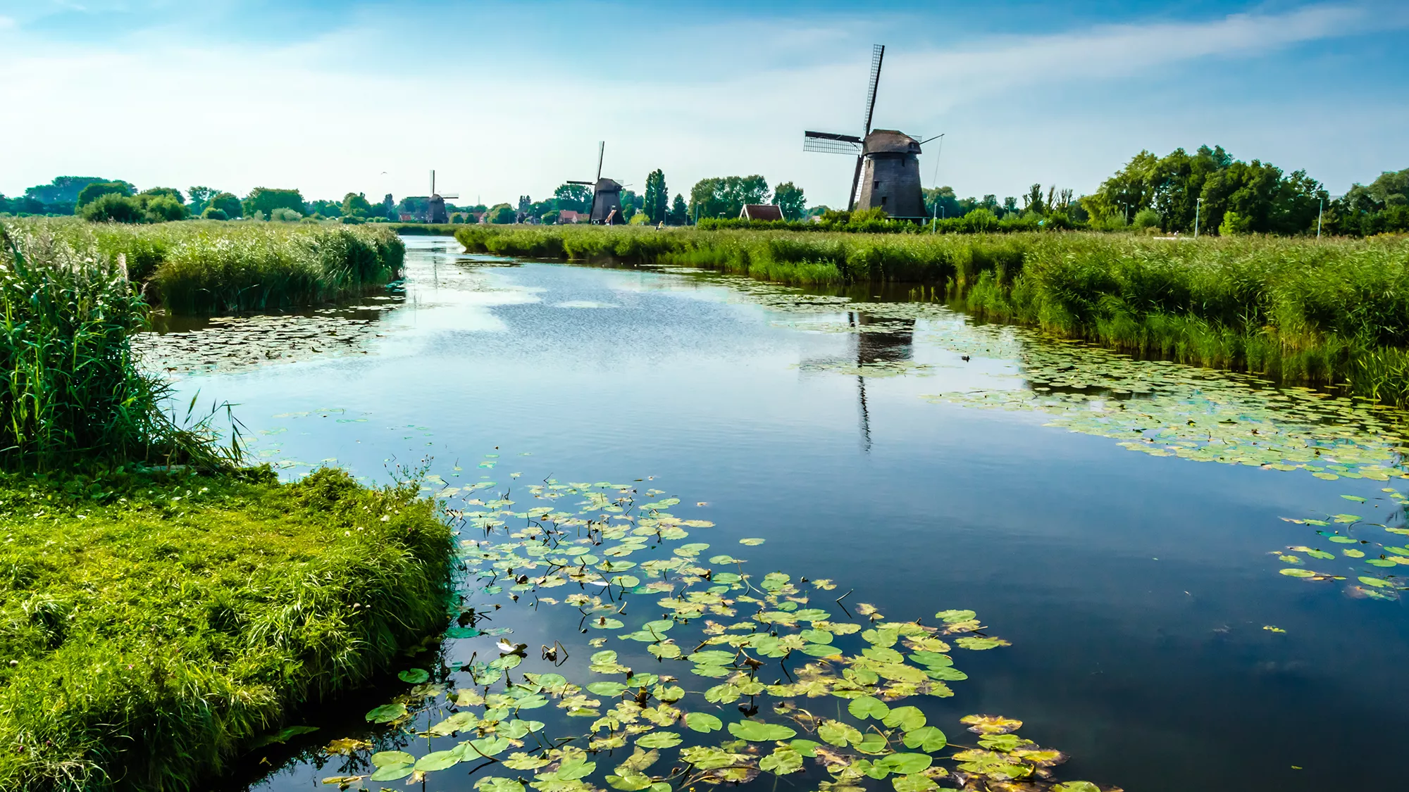 Sonniger Blick auf die Windmühlen entlang des Flusslaufs in Alkmaar. Die Mühlen stehen majestätisch im Hintergrund, umgeben von grünem Uferland und klarem Himmel, was die idyllische holländische Landschaft perfekt einfängt.