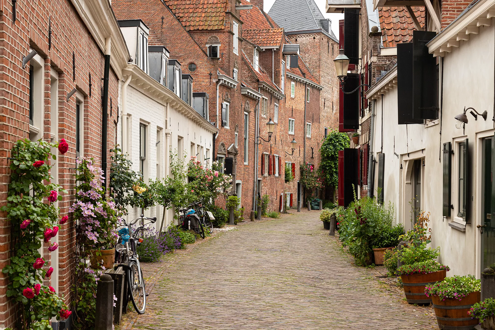 Urige Gasse in Amersfoort, gesäumt von charmanten Backsteinhäusern mit berankten Fassaden. Die enge Straße ist von historischem Charakter, beleuchtet von sanftem Tageslicht, das die warmen Farbtöne der Gebäude hervorhebt und eine einladende Atmosphäre schafft.