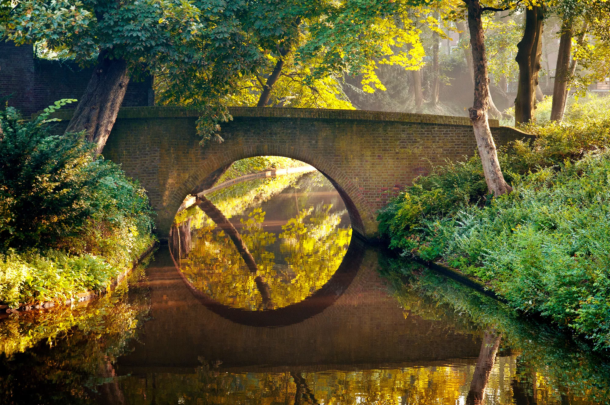 Eine malerische Brücke über den Fluss in einem Park in Hertogenbosch, umgeben von buntem Herbstlaub. Das strahlende Sonnenlicht taucht die Szene in warmes Licht und hebt die goldenen, roten und orangefarbenen Farben der Blätter hervor. Diese harmonische Verbindung von Natur und Architektur lädt zu einem entspannten Spaziergang ein und vermittelt eine ruhige, herbstliche Atmosphäre.