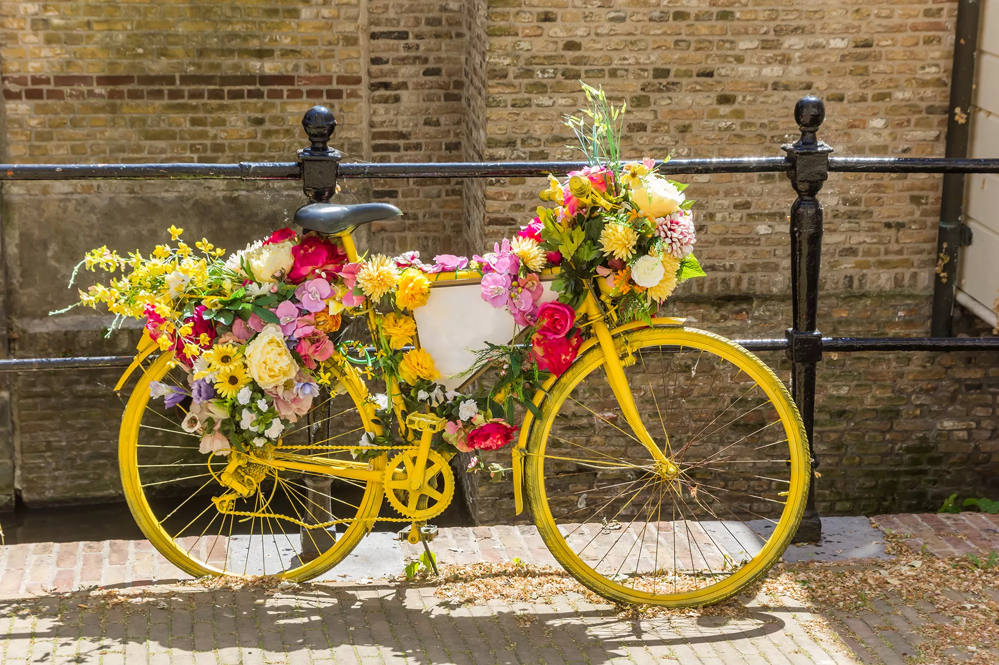 Eine Nahaufnahme eines gelben Fahrrads, das mit farbenfrohen Blumen dekoriert ist, am Kanal in Gouda bei sonnigem Wetter. Die lebendigen Farben der Blumen kontrastieren harmonisch mit dem strahlenden Gelb des Fahrrads und schaffen eine fröhliche und einladende Atmosphäre. Diese Detailaufnahme fängt den Charme und die Lebensfreude der Stadt perfekt ein.