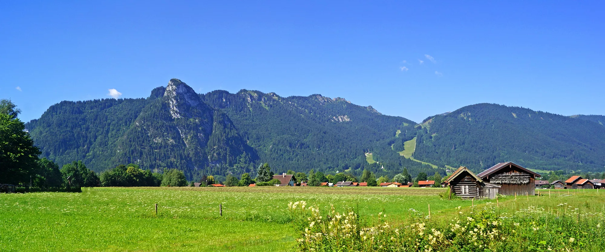 Sommerliche Wiesenlandschaft in den Ammergauer Alpen