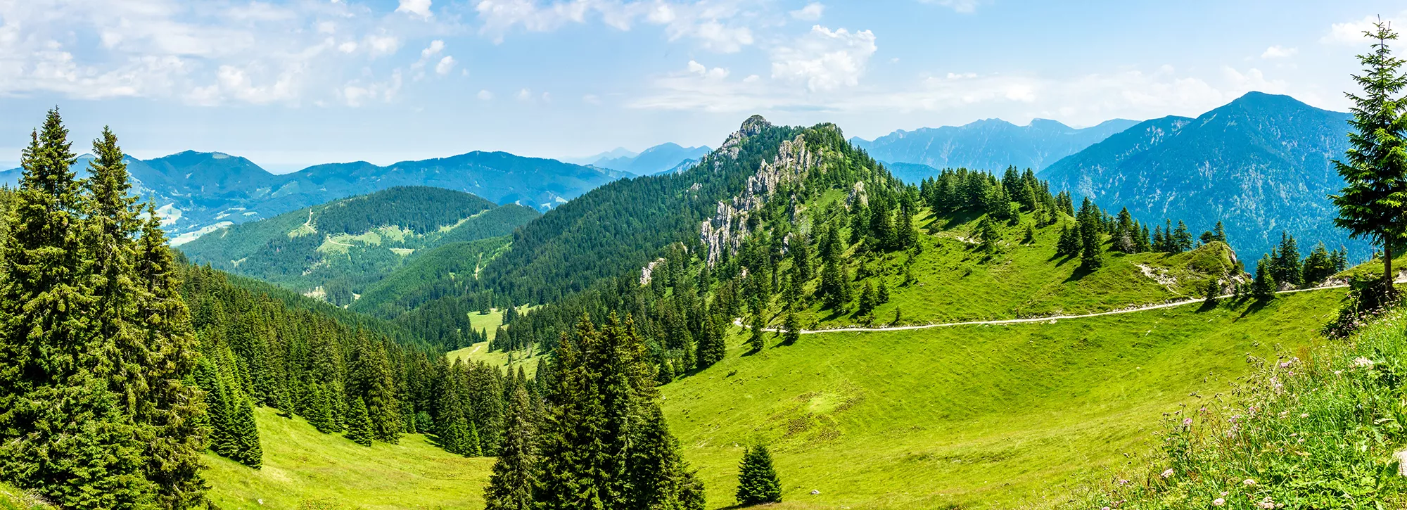 Grüne Berglandschaft bei Oberammergau in den Ammergauer Alpen im Sommer
