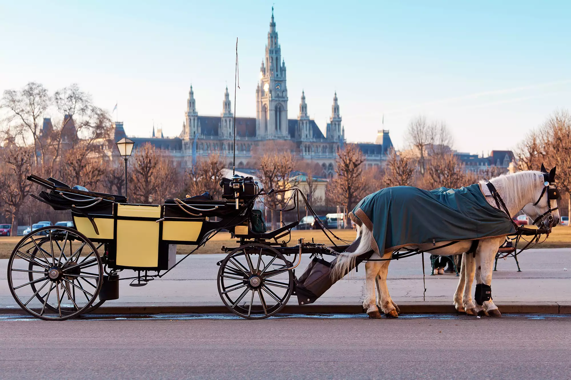 Fiaker mit 2 Pferden bei Bahn und Hotel Wien