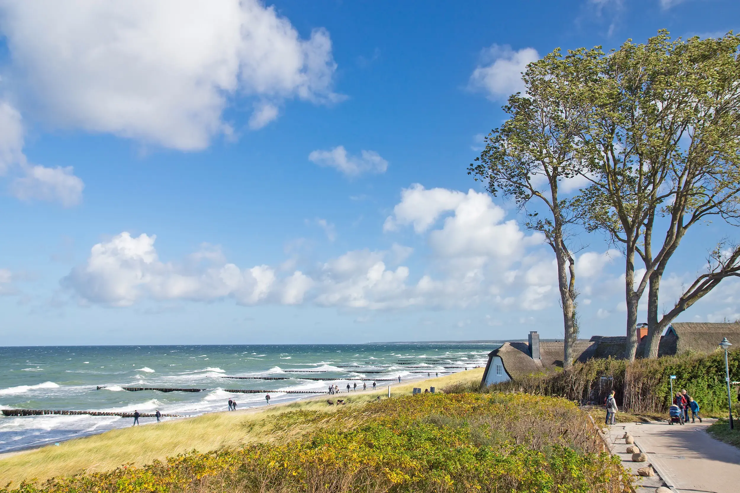 Blick von den Dünen in Ahrenshoop auf den Strand, Häuser mit Reetdächern in Dünen, am Darss an der Ostsee